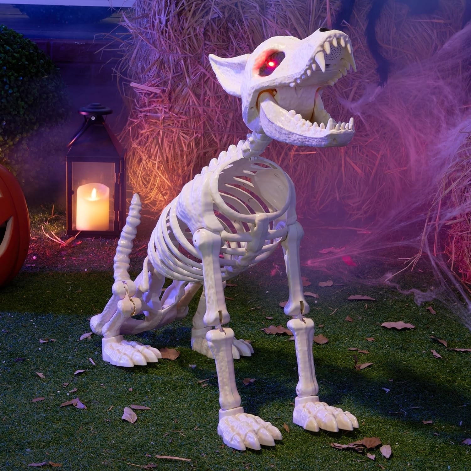 Joyfy 9.8 Inch Halloween Skeleton Dog Skeleton Halloween Decor,Pose-N-Stay Plastic Skeleton Bones with Posable Joints for Hallowmas Decoration Outdoor Haunted House Party