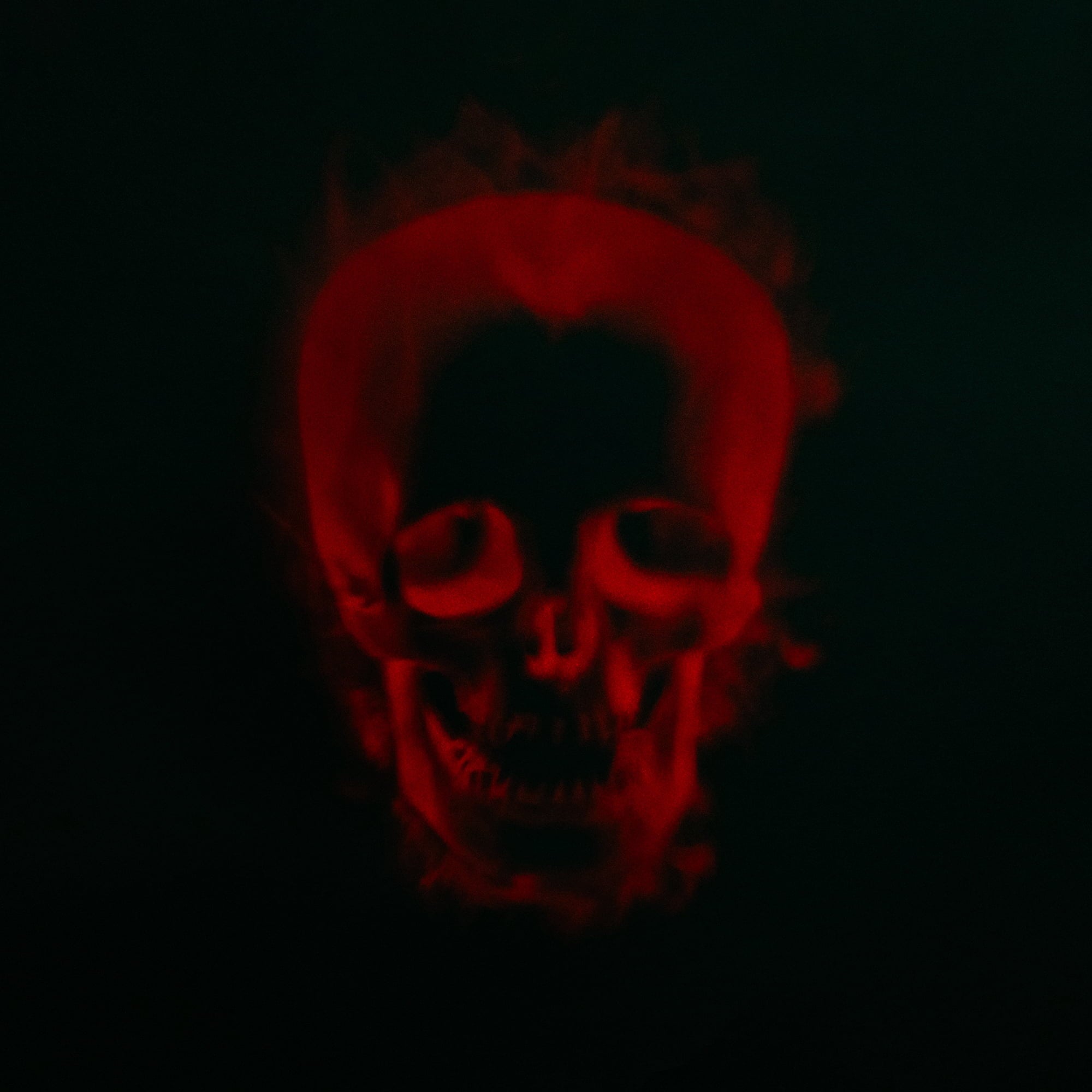 Northlight Halloween Skull Outdoor Light Show Projector - 8"