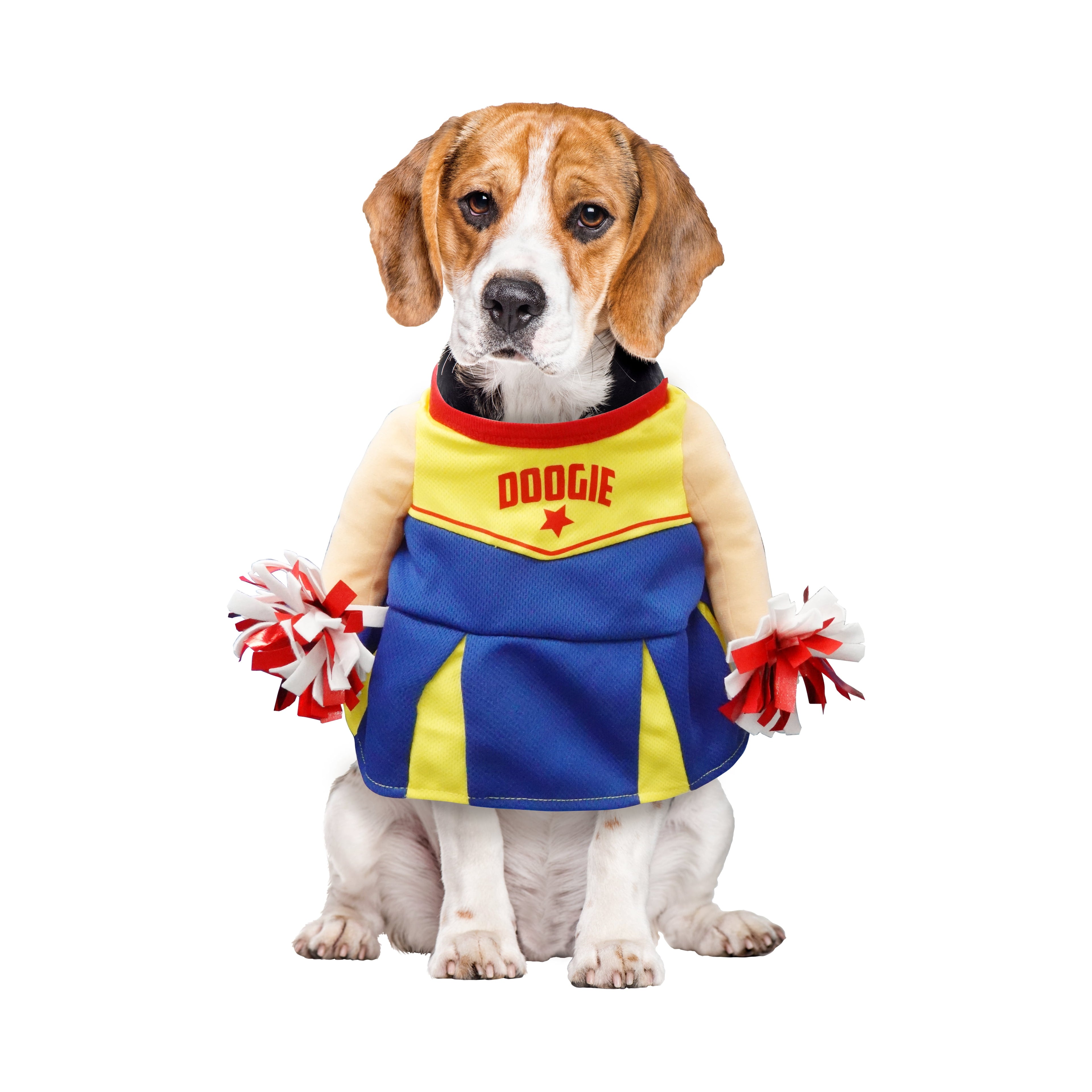 Best Furry Friends Costume for Dogs or Cats,Cheerleader, Medium