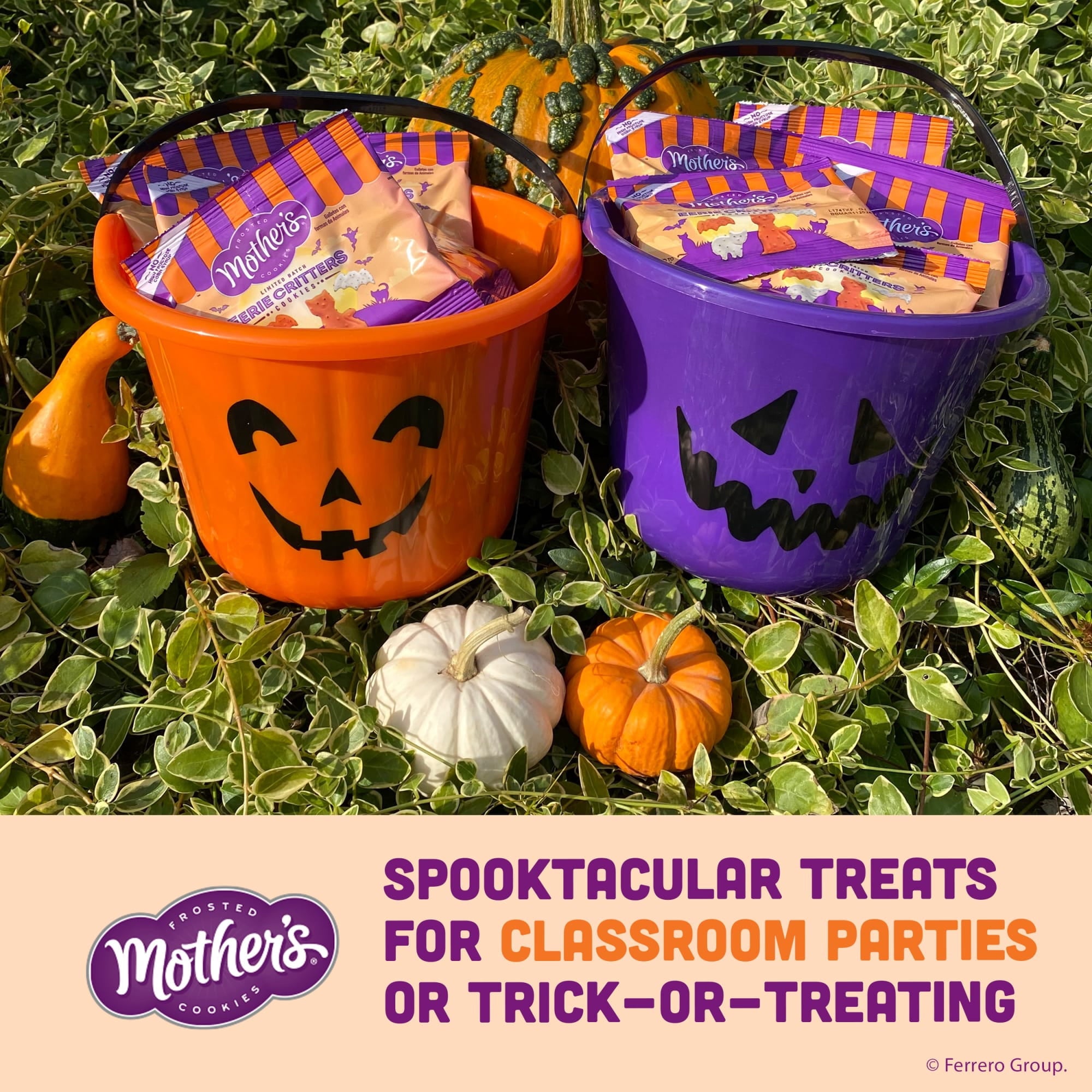 Mother's Eerie Critters, Halloween Snacks, Frosted Animal Cookies, 30 Pack, 0.5 oz Each