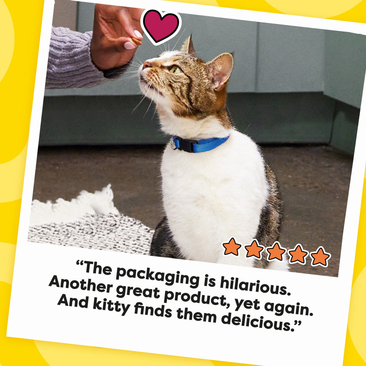(4 pack) Temptations Mixups Crunchy and Soft Cat Treats Tasty Human, Chicken, Liver & Beef Flavors, 3 oz Pouch