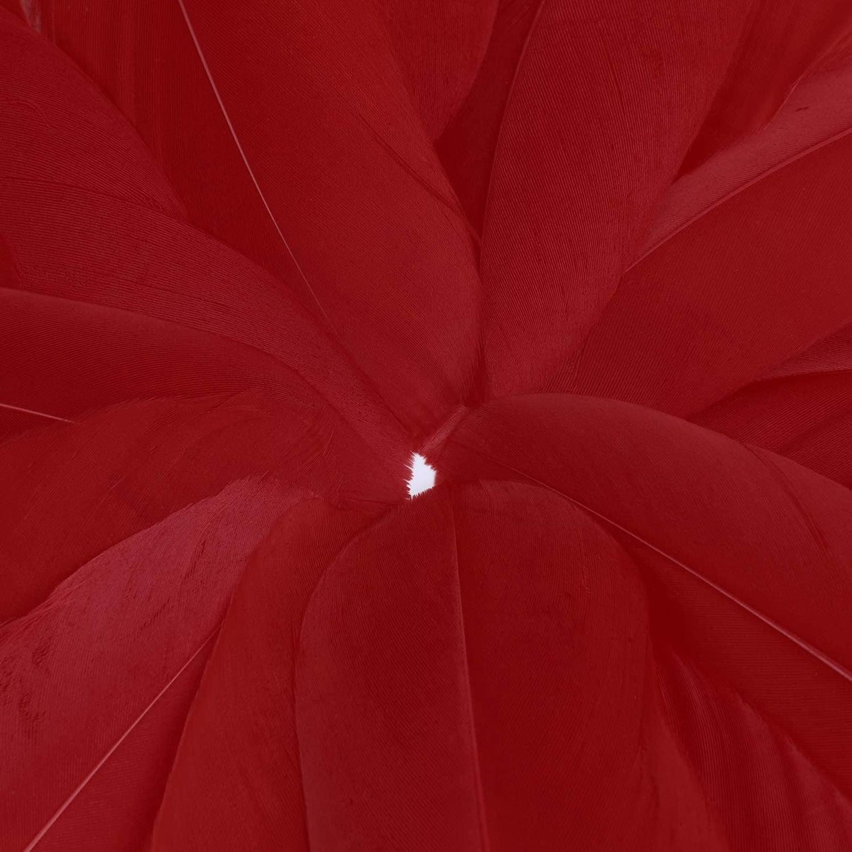 600PCS Red Feathers, 3-4.7 inch Feathers Bulk for DIY Crafts Wedding Halloween Costume Party Decorations Dream Catcher Supplies