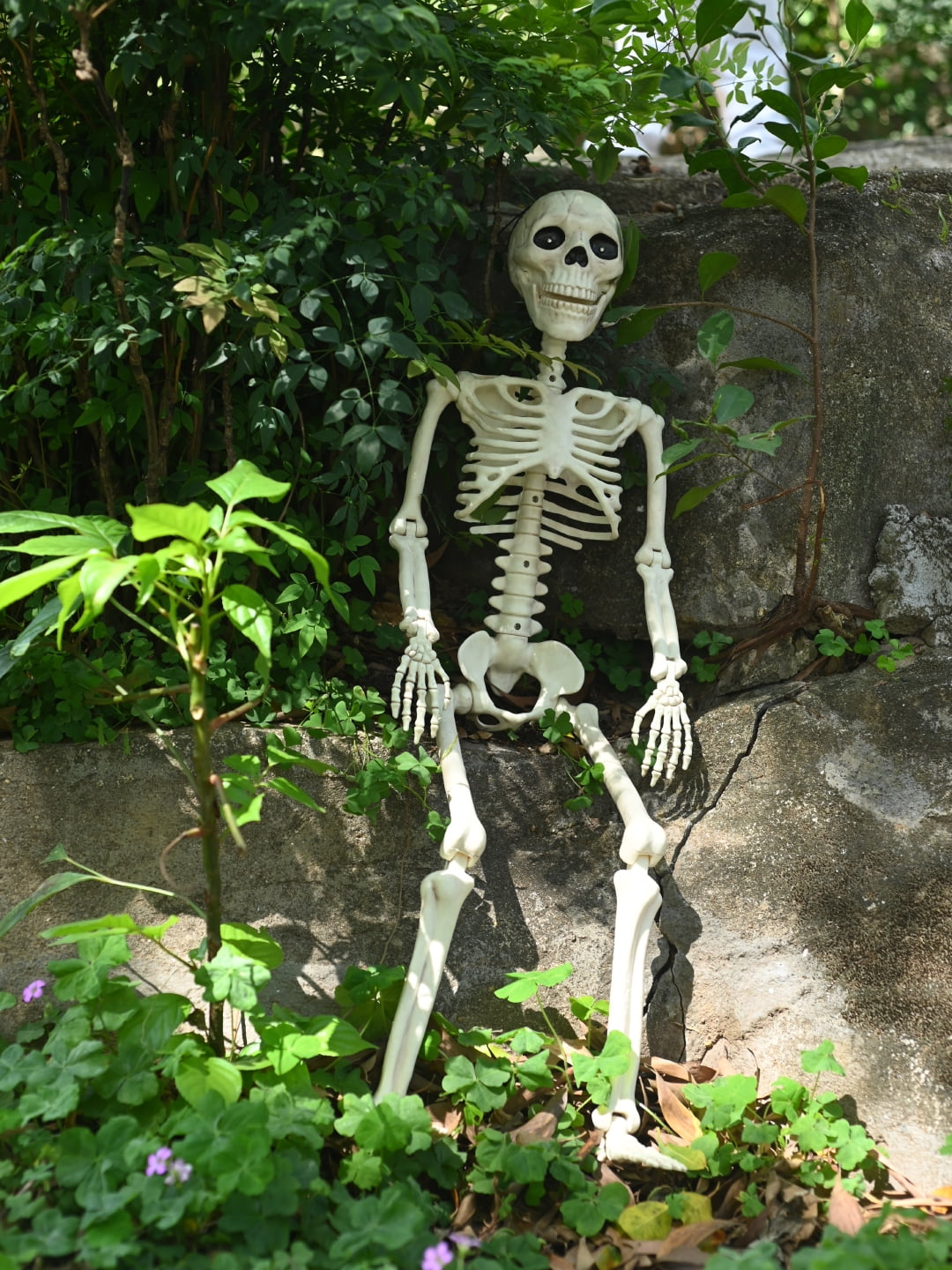 Seasons 36" Animated Posable Skeleton, Light Up Eyes and Sound with Motor Mouth, Halloween Decoration for Crazy Bonez Skeleton Line