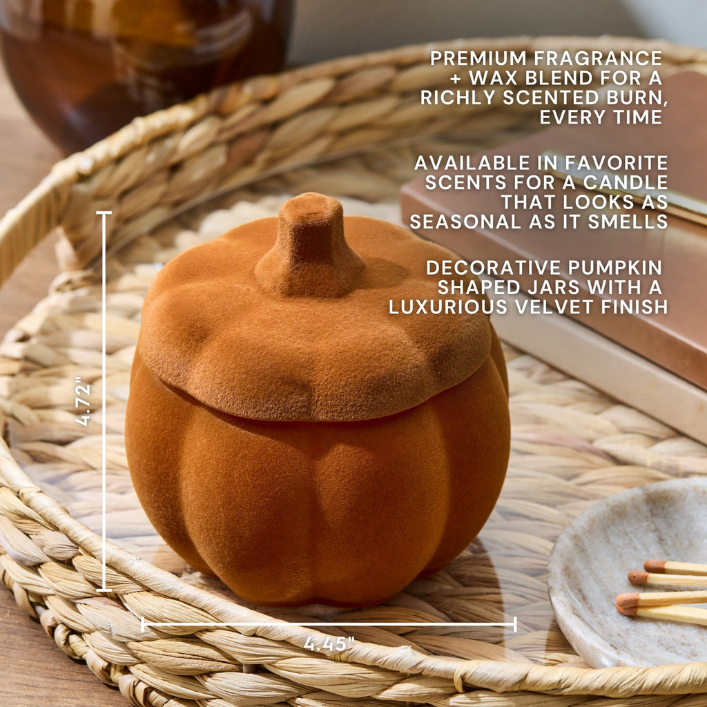 Better Homes & Gardens Flocked Pumpkin Jar Candle, Pumpkin Snickerdoodle Swirl, 2-Wick, 12.7 oz