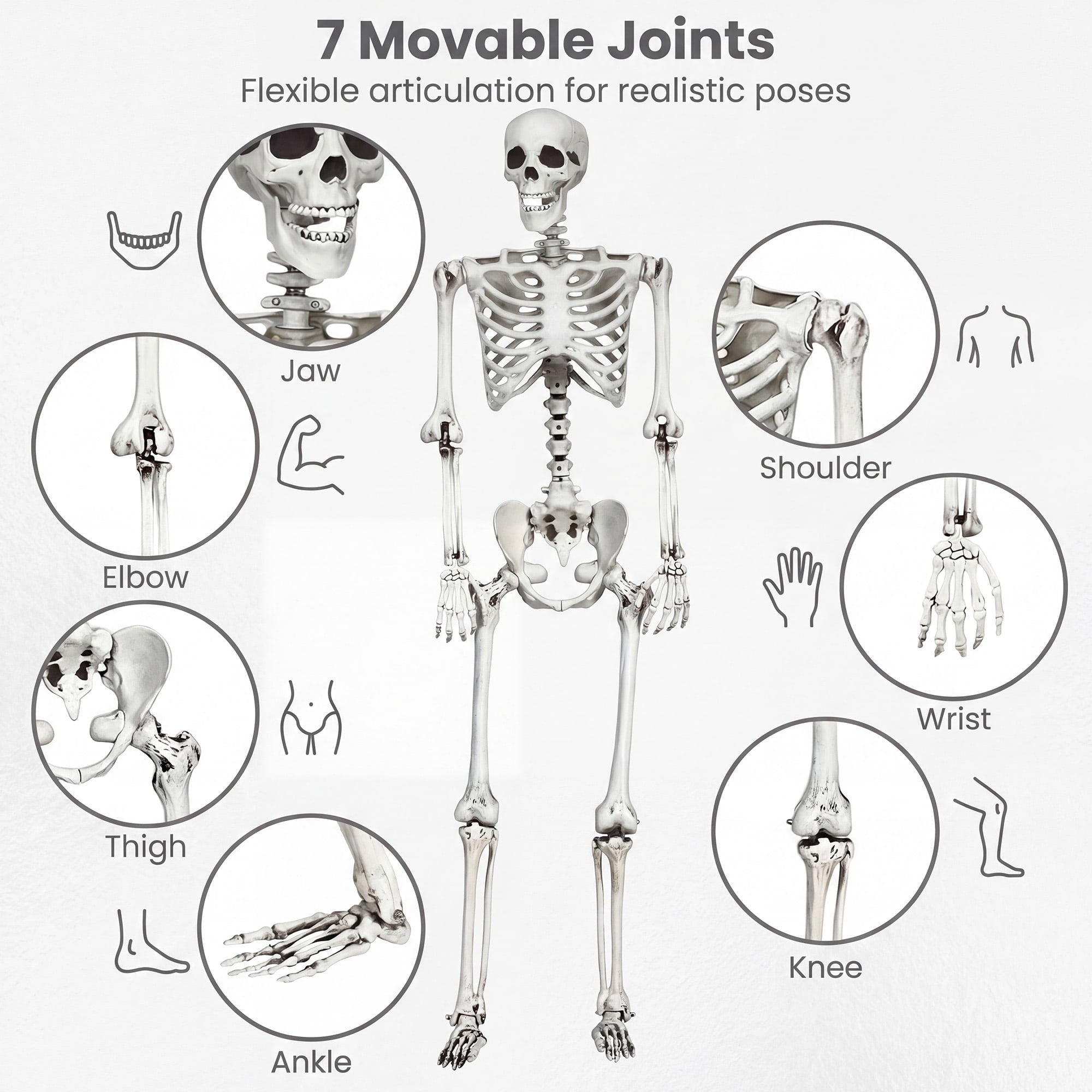 Costway 5.4ft Halloween Christmas Skeleton Life Size Realistic Full Body Hanging with Movable Joints 63 Inches