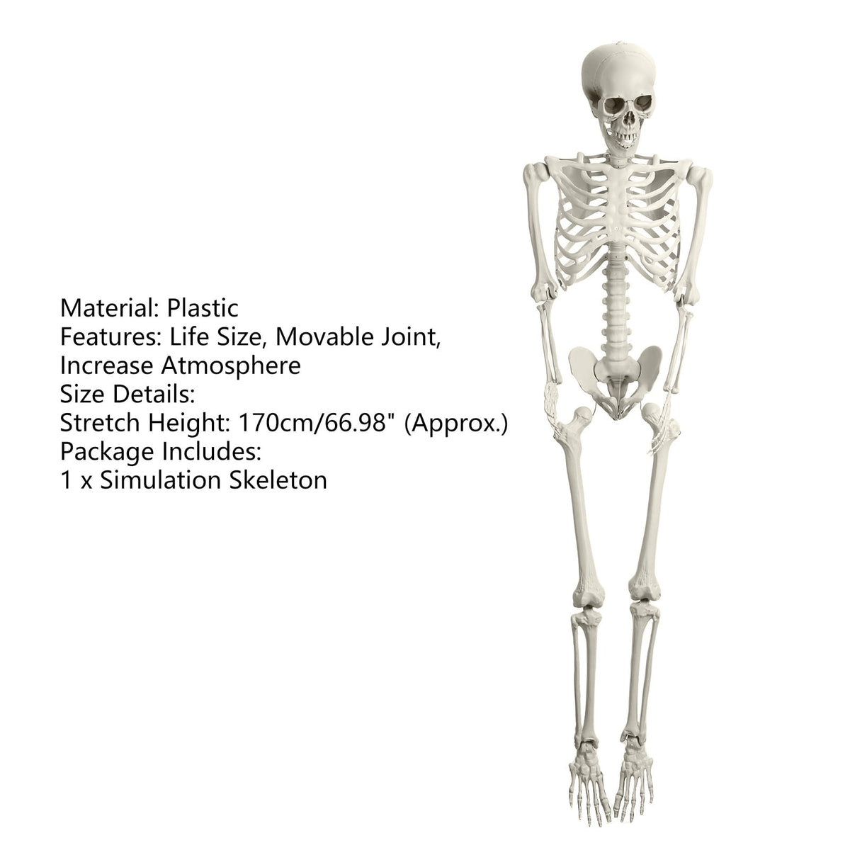 Kitem Skeleton Prop 5.4ft Poseable Life Size Halloween Decoration Plastic Full Body Human Bones Skeleton Party Supplies 1pc