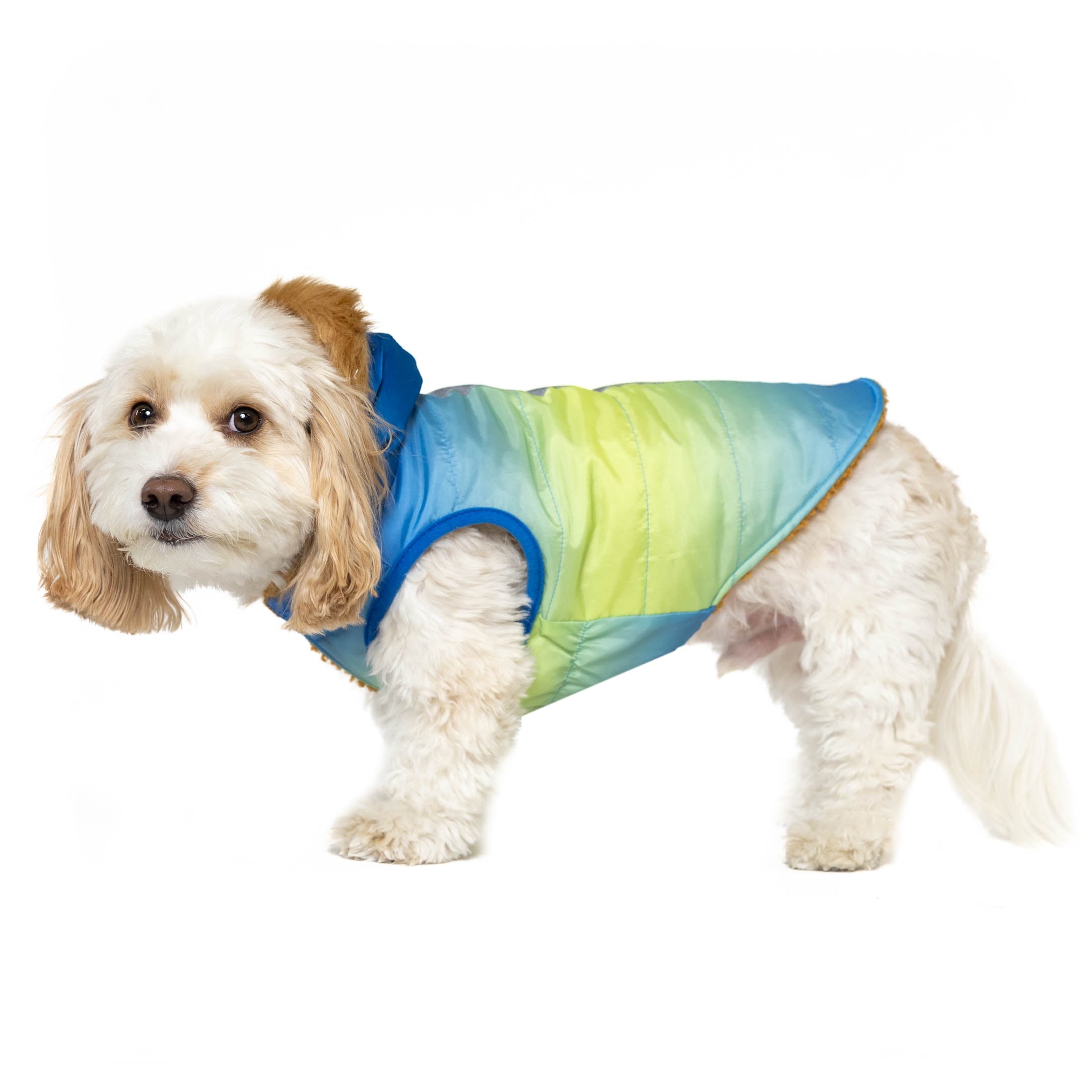 Vibrant Life Pet Hooded Jacket, Blue Ombre, S