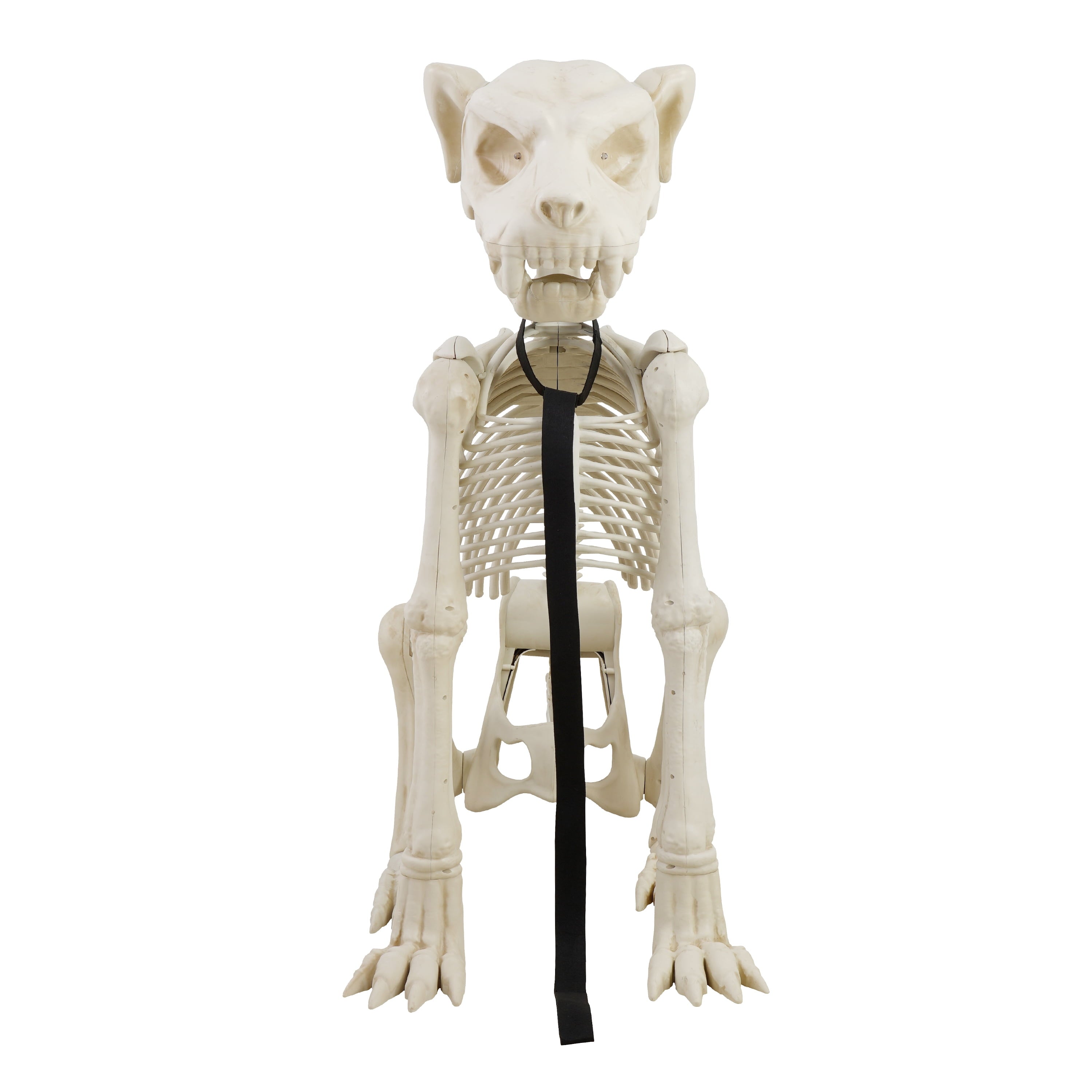 Way To Celebrate Animated Skeleton Dog Halloween Decoration, Beige, 60 in
