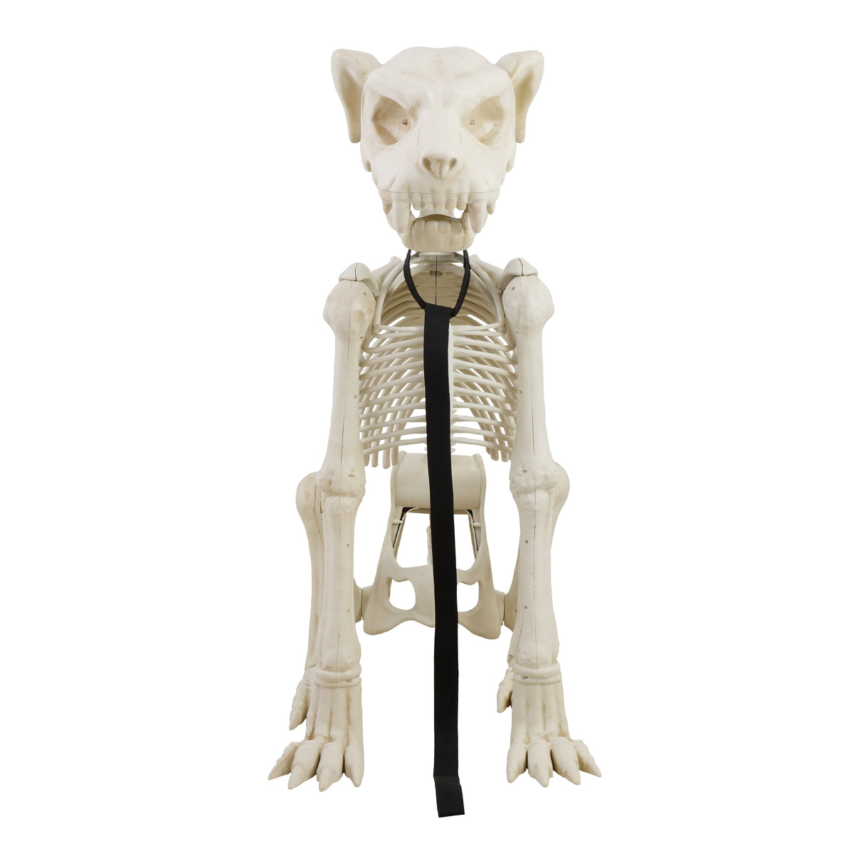 Way To Celebrate Animated Skeleton Dog Halloween Decoration, Beige, 60 in