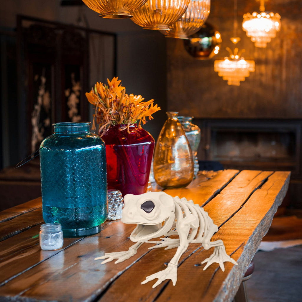Cififendec Mini Frog Halloween Animal Skeletons Standing Full Body Animal Skeleton Decorations for Indoor Outdoor Room Party Props