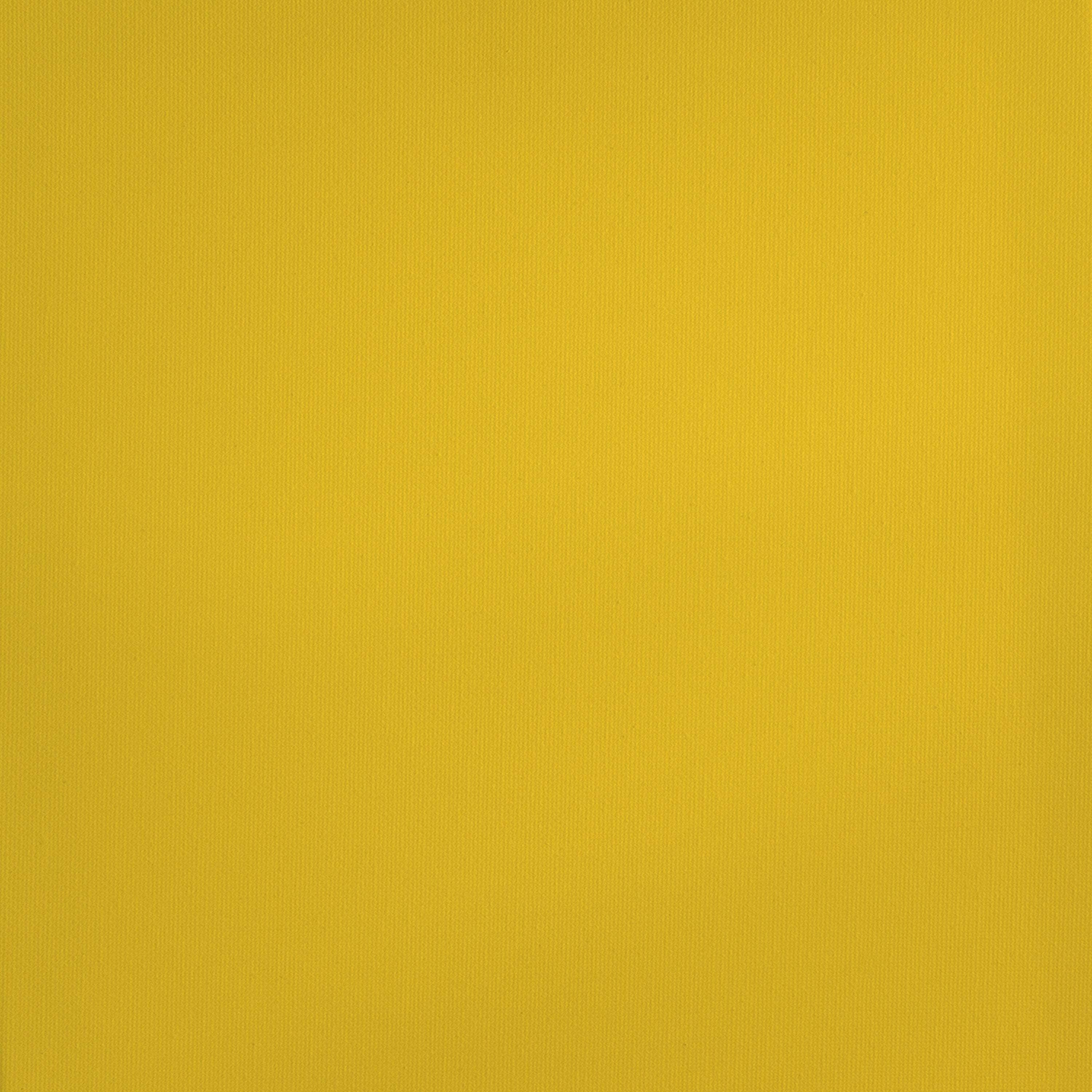 Royal & Langnickel Essentials 120ml Primary Yellow Acrylic Artist Paint