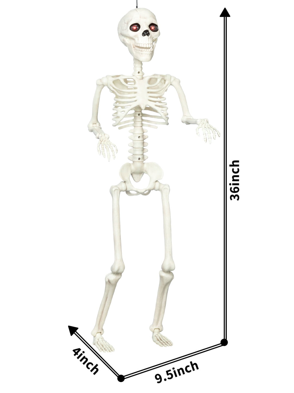 Seasons 36" Animated Posable Skeleton, Light Up Eyes and Sound with Motor Mouth, Halloween Decoration for Crazy Bonez Skeleton Line