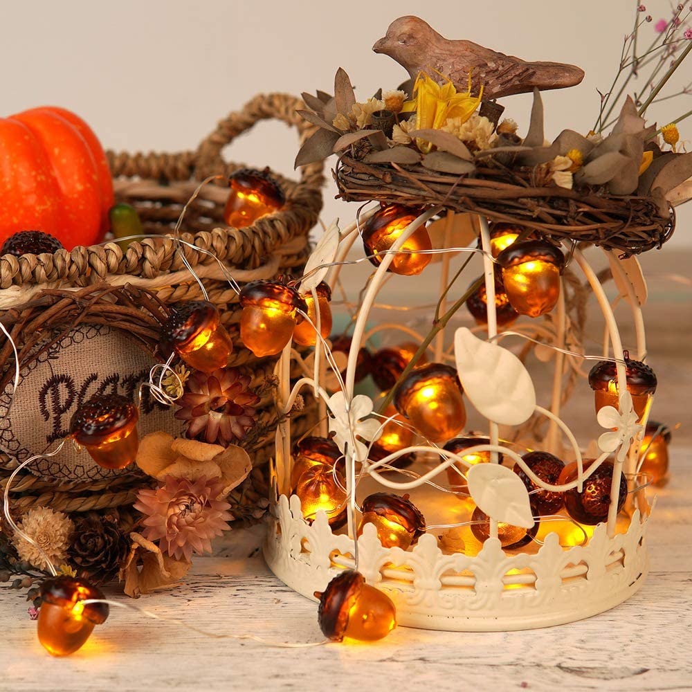 Morttic Halloween Lights 3D 10ft 30 LEDs Pumpkin String Lights Battery Powered Orange Lights for Halloween Party Indoor Fall Outdoor Harvest Thanksgiving Decorations