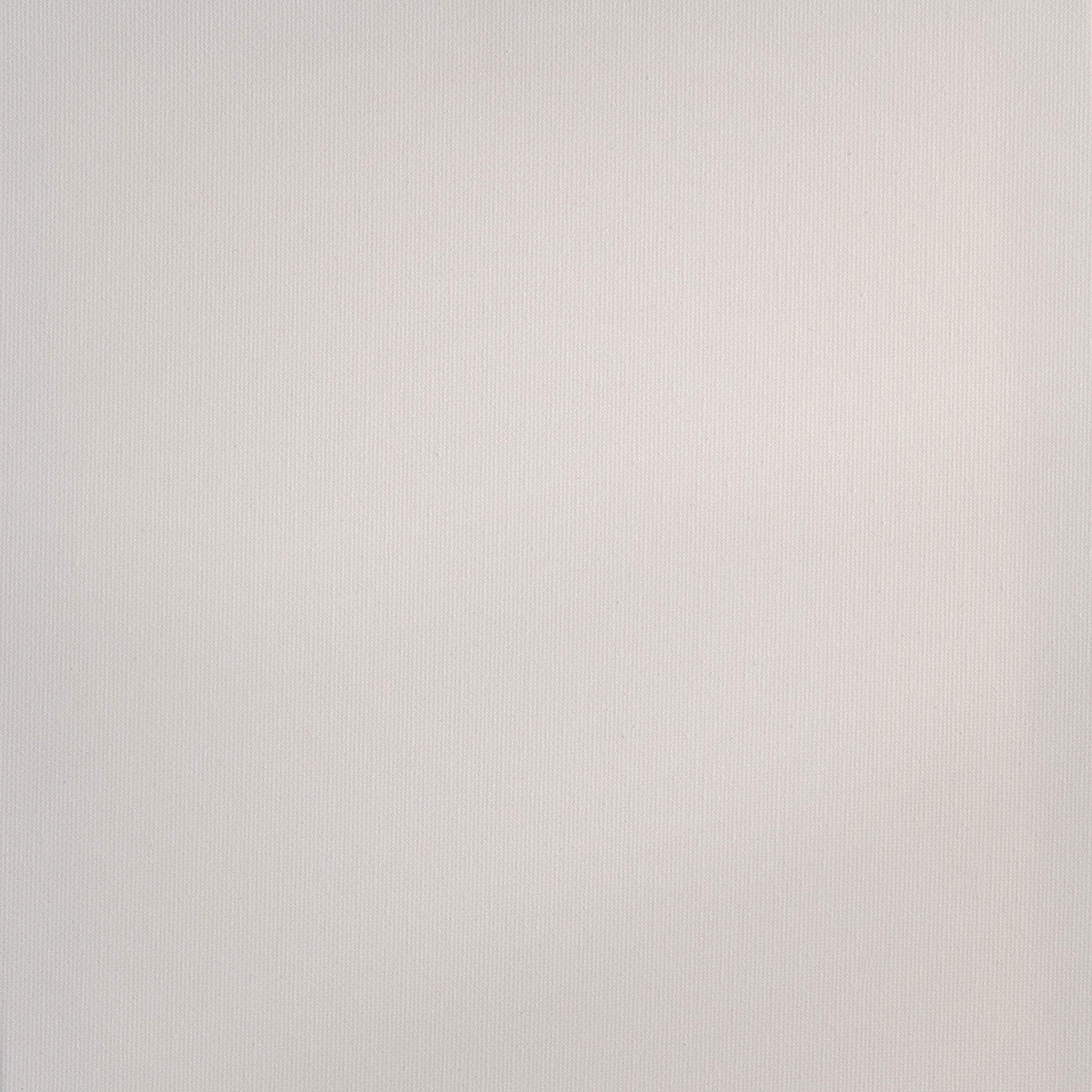 Royal & Langnickel Essentials 120ml Titanium White Acrylic Artist Paint