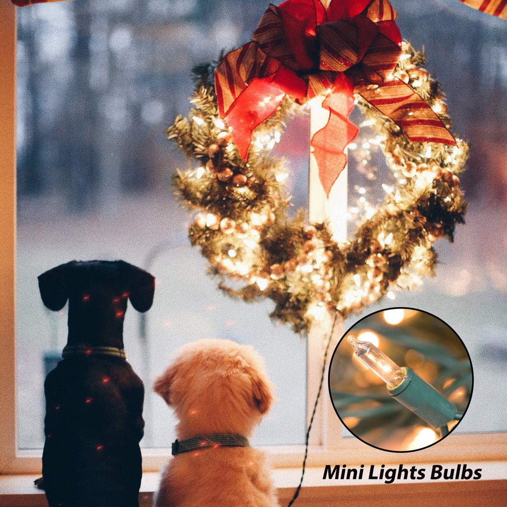 Chrsitmas light 100-Count Clear White Christmas Light Set Green Wire Lights for Christmas Decorations, Holiday, Party, Home, Indoor or Outdoor Decorations 21ft