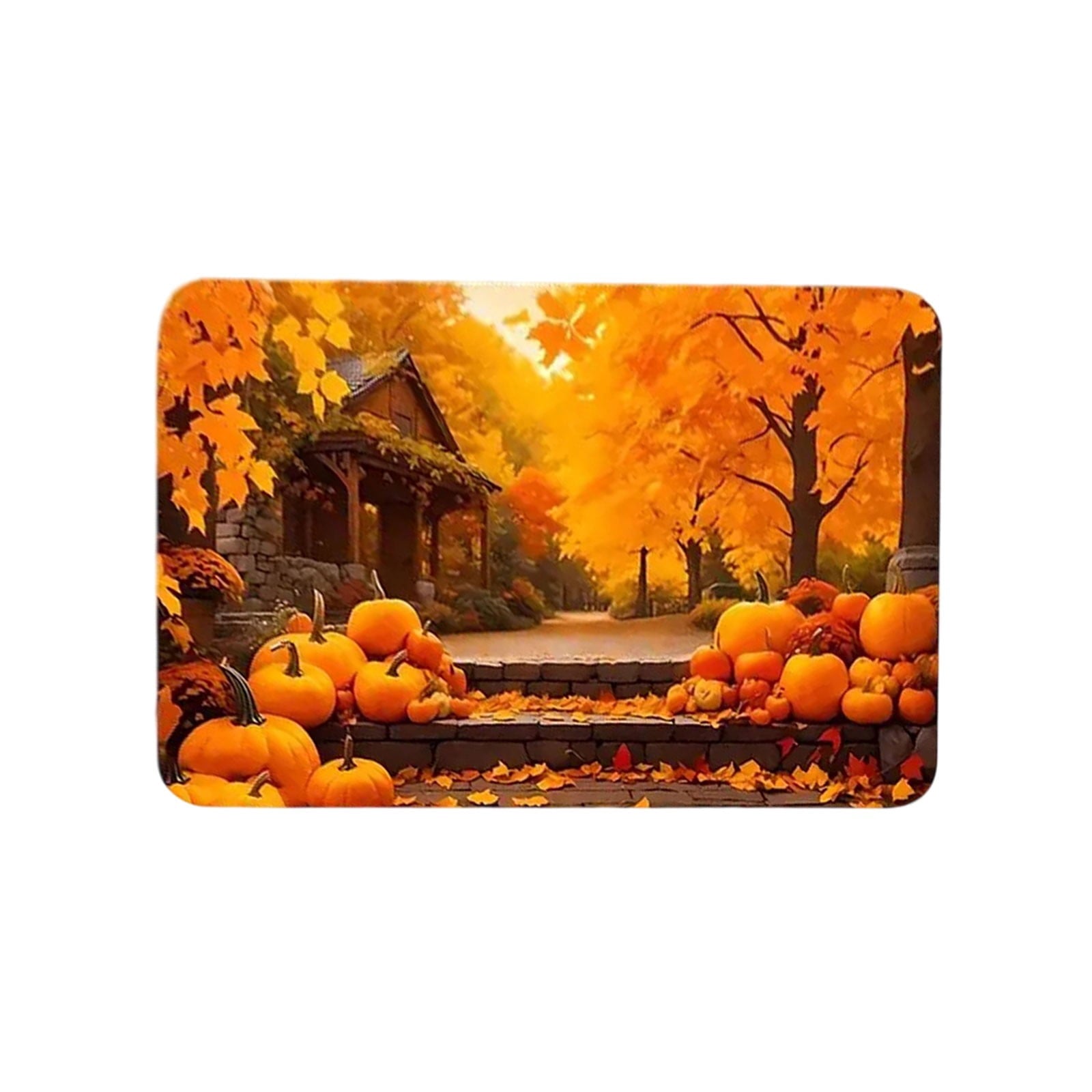 Autumn Door Mat for Entryway, 16x24 Inch, Fall-Themed Floor Doormat for Home Decor, Non-Slip Rug Mat for Living Room, Kitchen, Bedroom, Gifts for Fall Lovers (E)