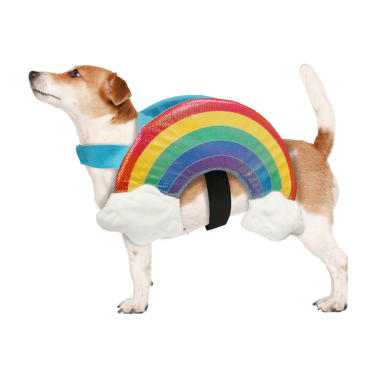Best Furry Friends Costume for Dogs or Cats, Rainbow, X-Small