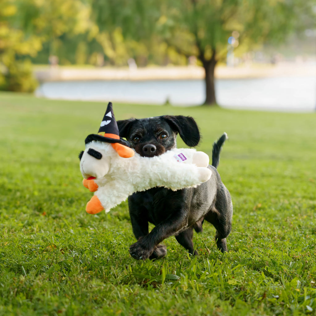 Multipet Halloween Lamb Chop Plush Dog Toy with Witch Hat, Squeaky Holiday Pet Toy