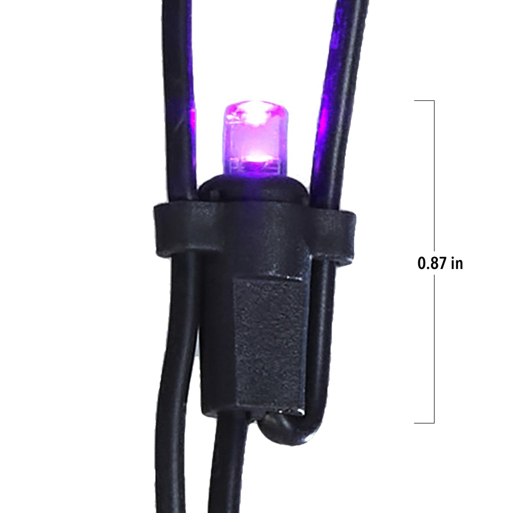 Indoor/Outdoor 50-Count LED Net Lights, Multicolor, 4' x 4', Halloween by Way To Celebrate
