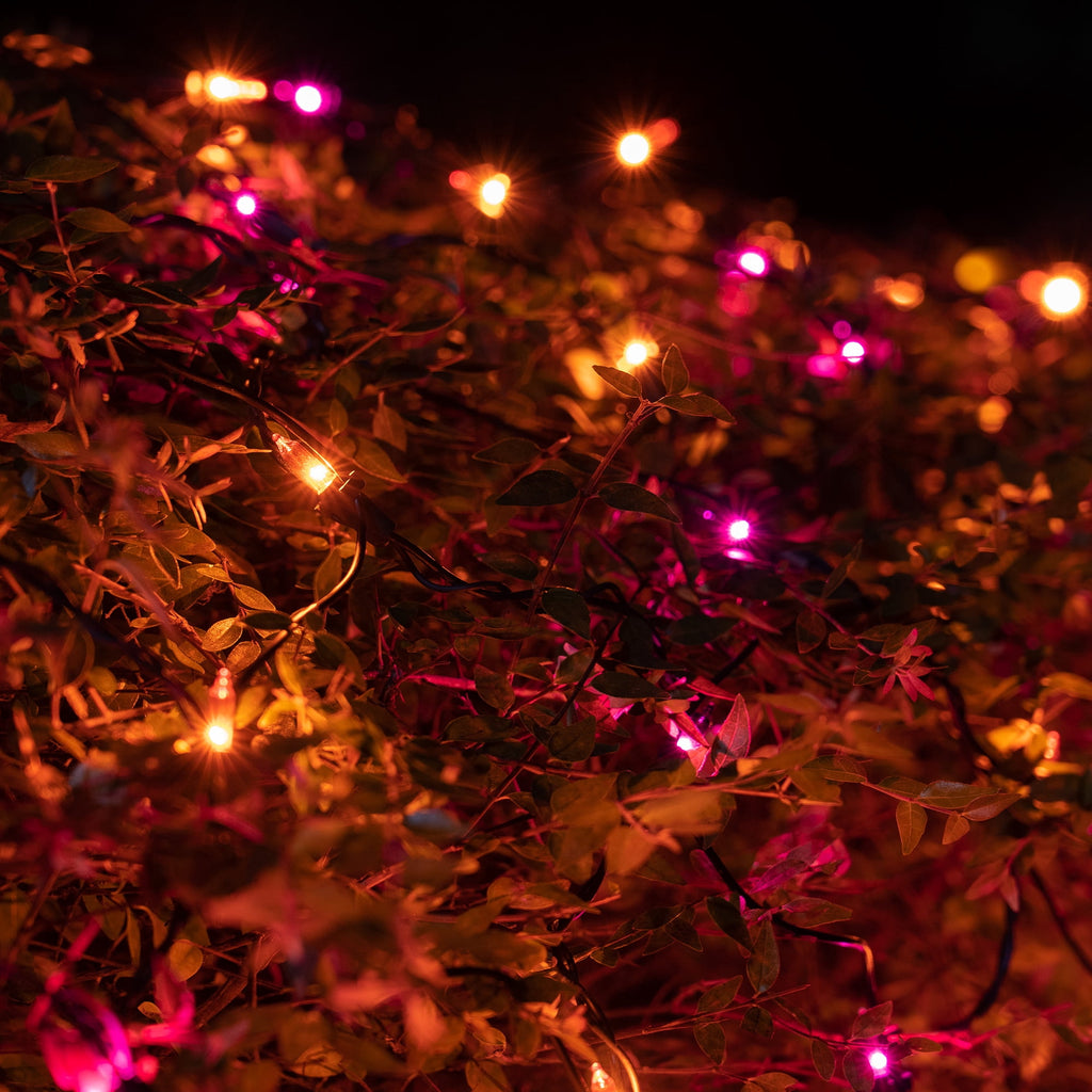 4’ x 6’ Halloween Net Lights Outdoor 150 Orange and Purple Lamps on Black Wire