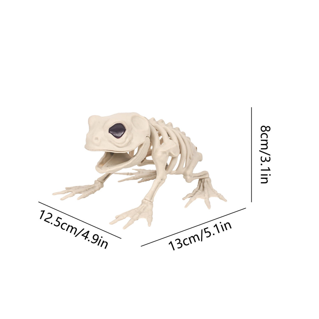 Elainilye Frog Skeleton Decoration 5.1 Inch Realistic Animal Bone Model for Halloween Home Bar Science Classroom Display Decor