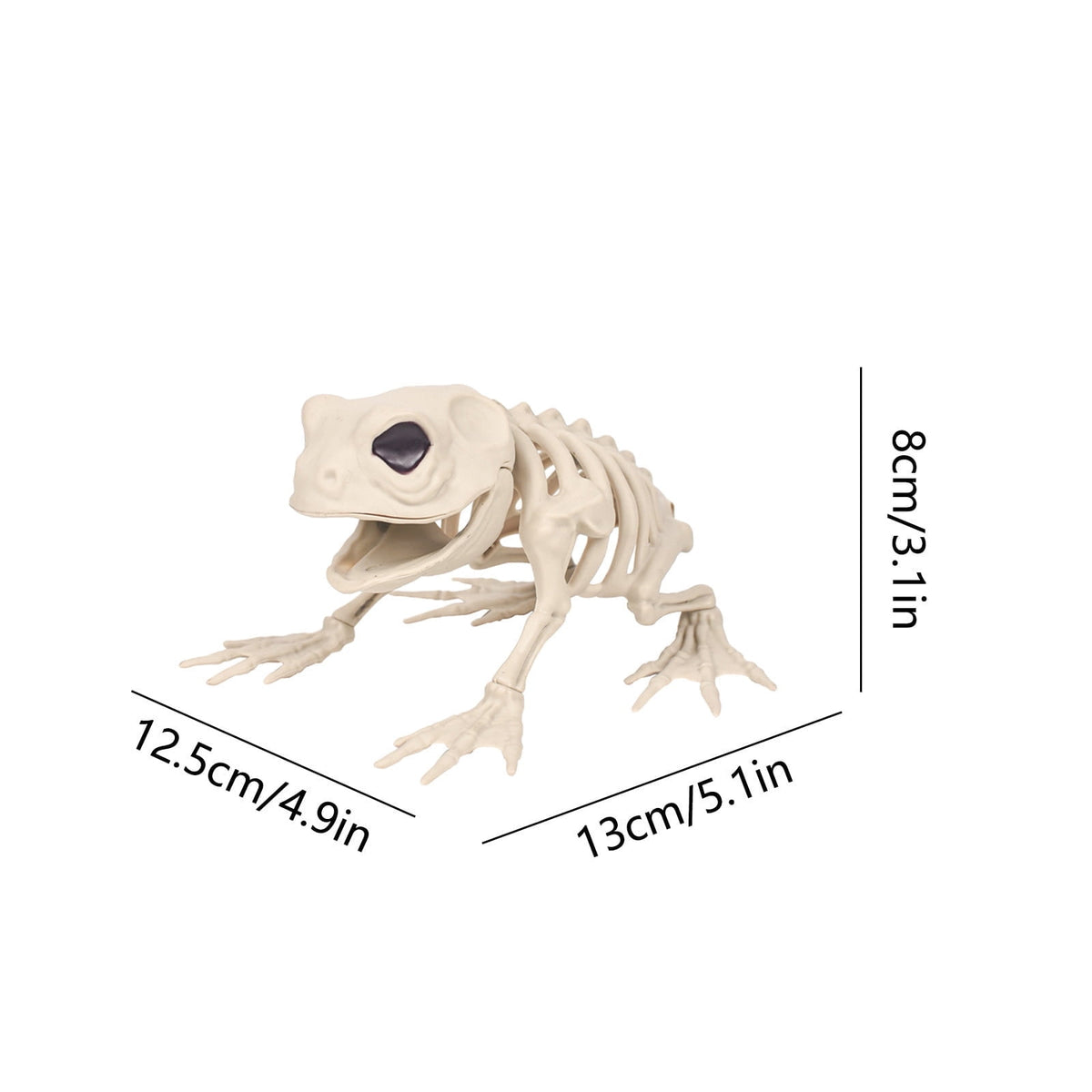 amlbb Halloween Decoration Halloween Skeleton Horror Decorations Simulation Animals Skeleton Ornaments Bar Decoration Frogs Skeleton on Clearance