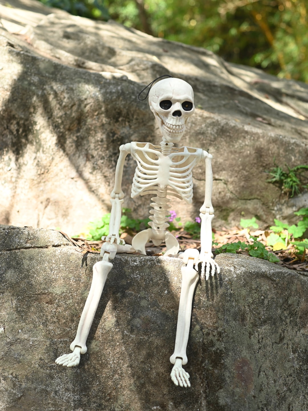 Seasons 36" Animated Posable Skeleton, Light Up Eyes and Sound with Motor Mouth, Halloween Decoration for Crazy Bonez Skeleton Line