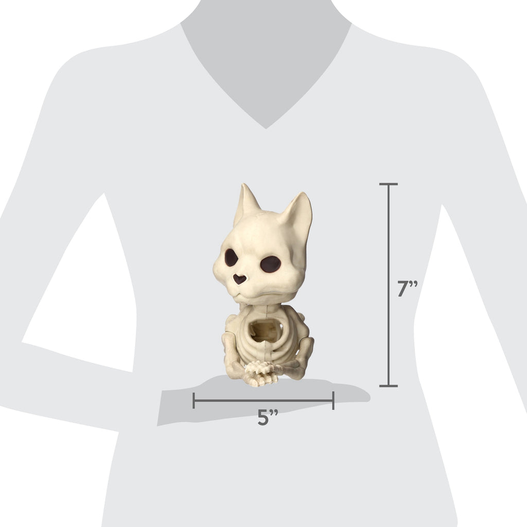 Faux Skeleton Cat Decoration, 5", Halloween by Way To Celebrate