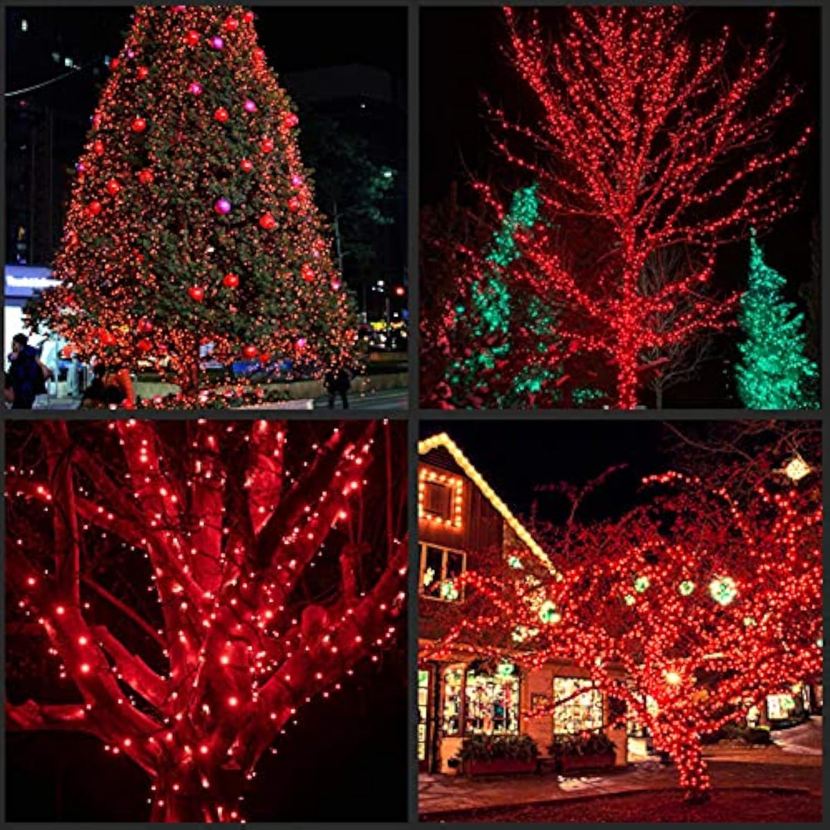 Wick's Outdoor Living LED 5MM Multi-Color Holiday Lights, 50 FT in length, 150 CT, and 6 different color options