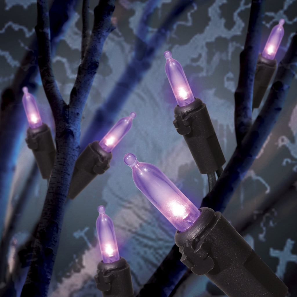 Indoor/Outdoor 500-Count LED Mini String Lights, Purple, 98.5', Halloween by Way To Celebrate