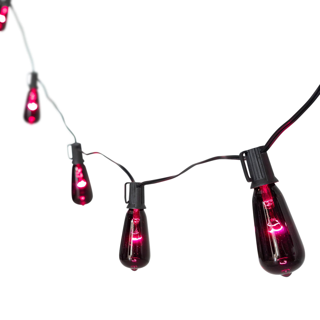 Northlight Edison Style Halloween Lights - Purple - 9' Black Wire - 10ct