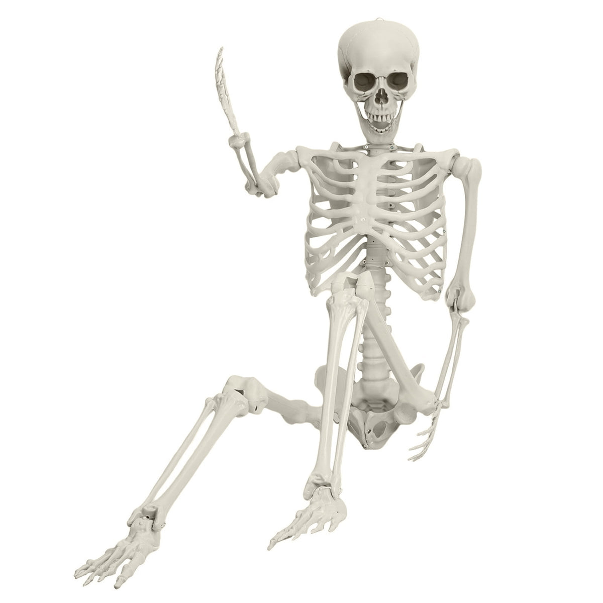 Kitem Skeleton Prop 5.4ft Poseable Life Size Halloween Decoration Plastic Full Body Human Bones Skeleton Party Supplies 1pc