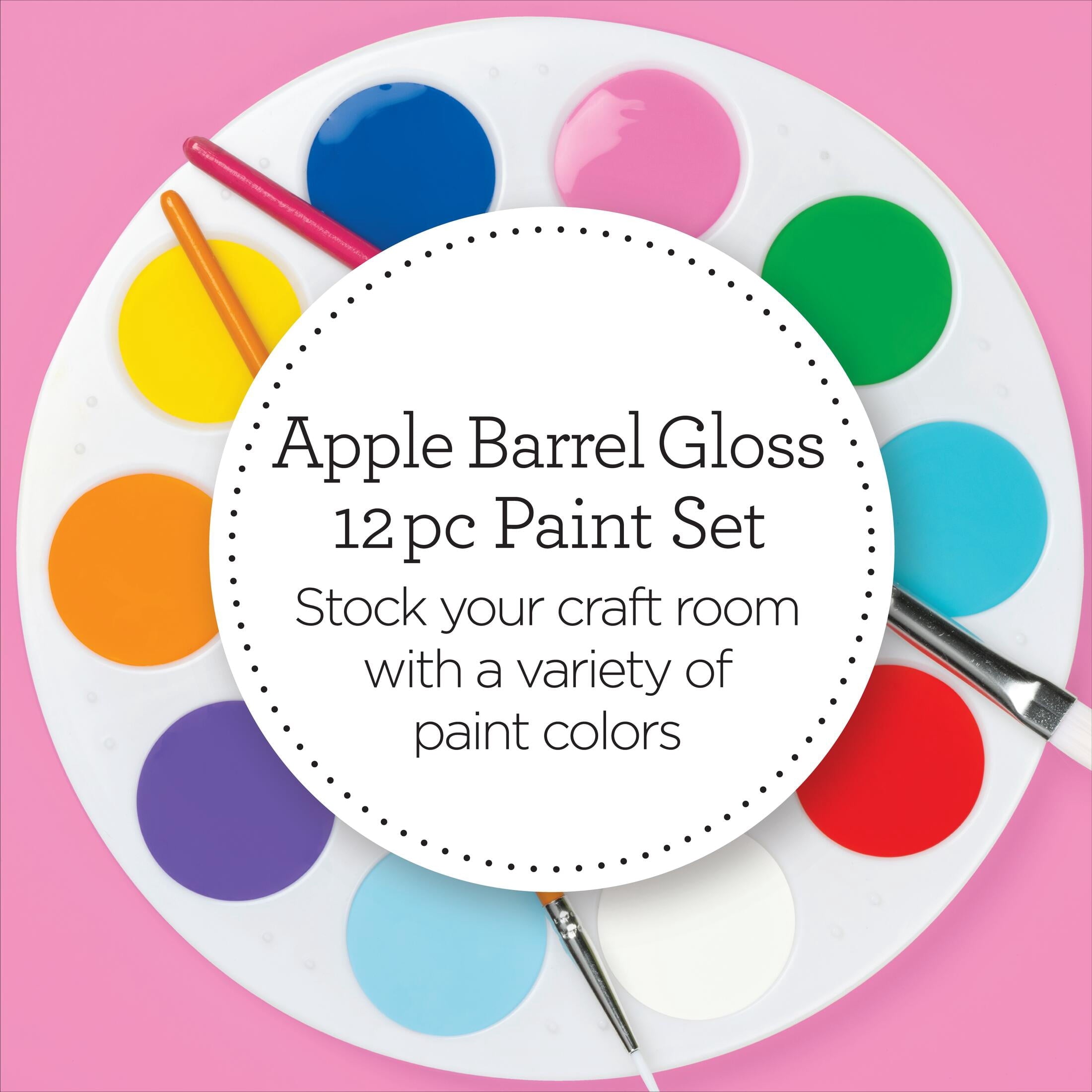 Apple Barrel Homegrown Hues 2 fl oz Acrylic Craft Paint Kit, Matte Finish, 12 Piece