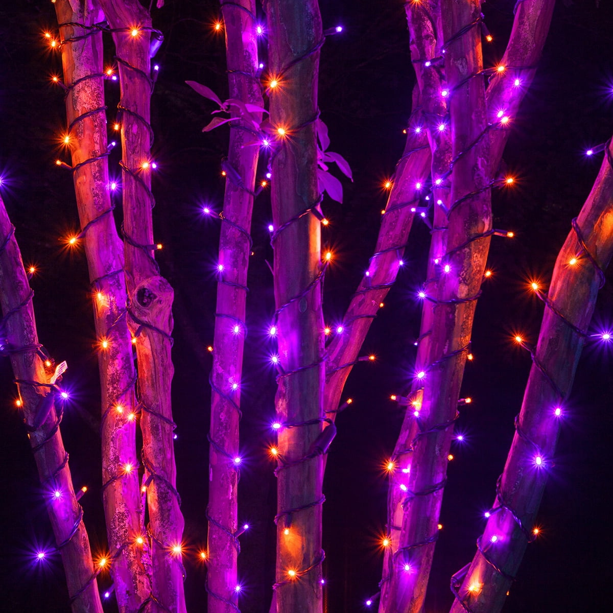 70 LED Purple and Orange String Lights for Halloween Displays Party Decoration, 24', Indoor Outdoor Black Wire