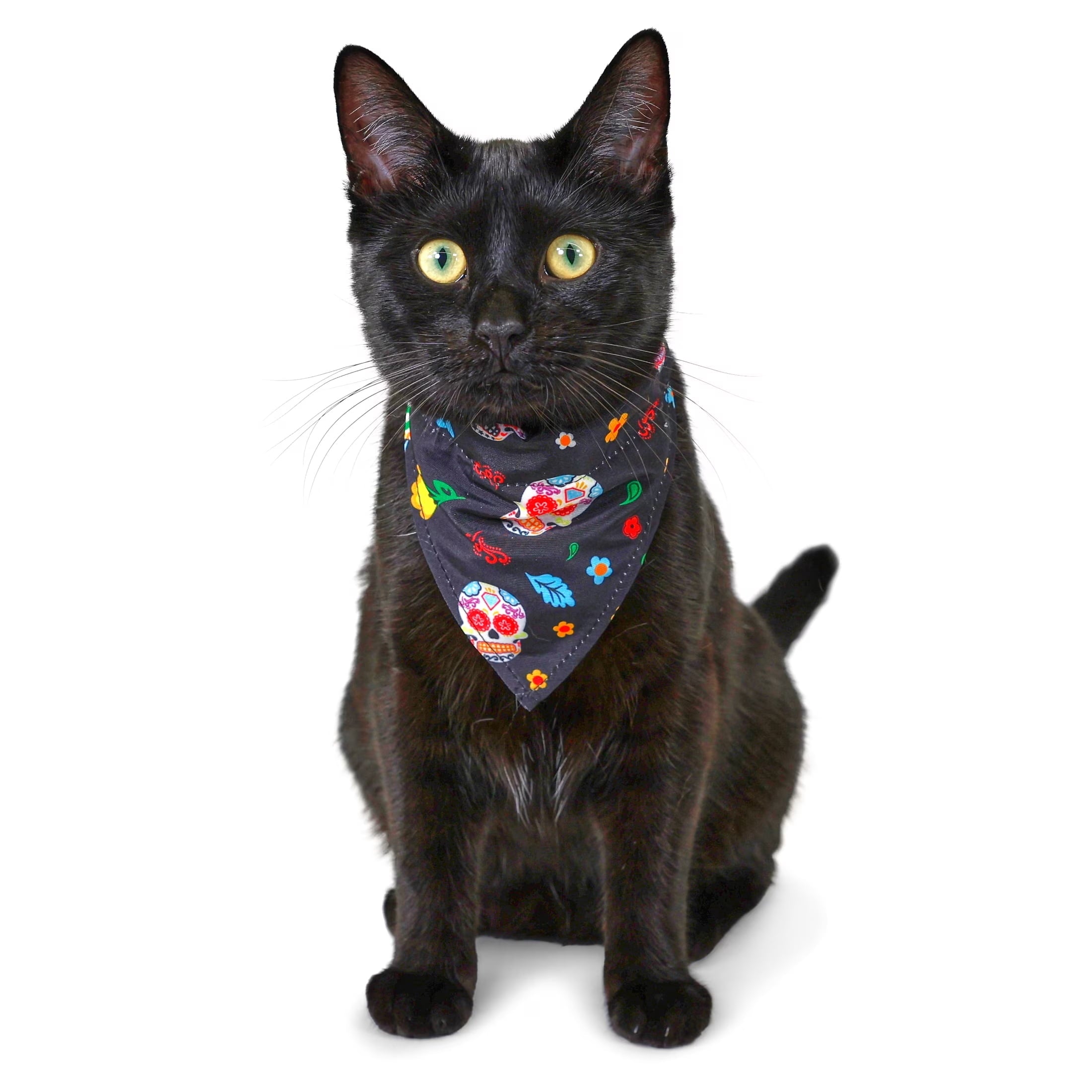 Vibrant Life Halloween Cat Collar Slider Set with Bandana and Bow Tie, Day of the Dead, Black, One Size, 3 Pieces