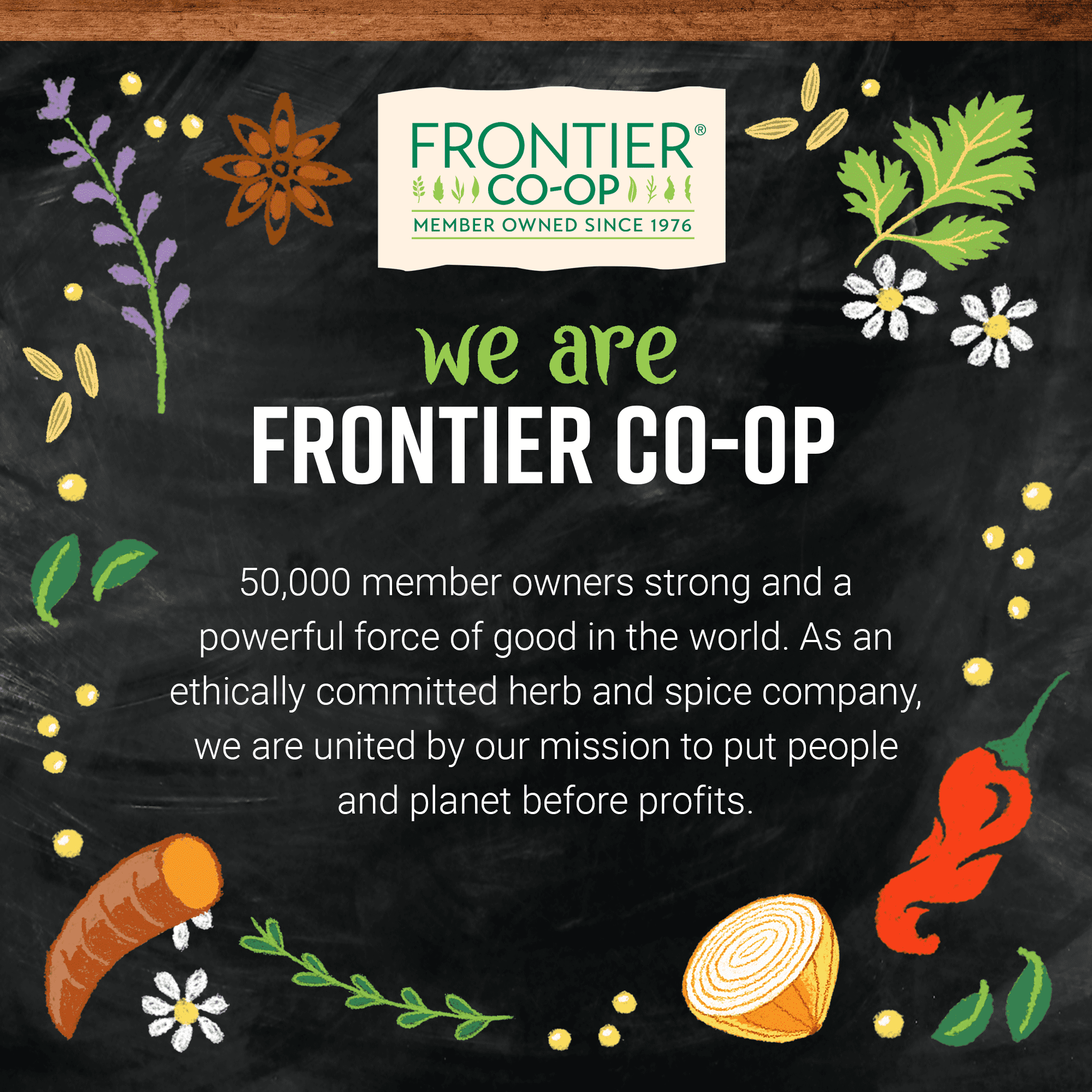 Frontier Co-op Organic Vanilla Flavoring 4 fl. oz.