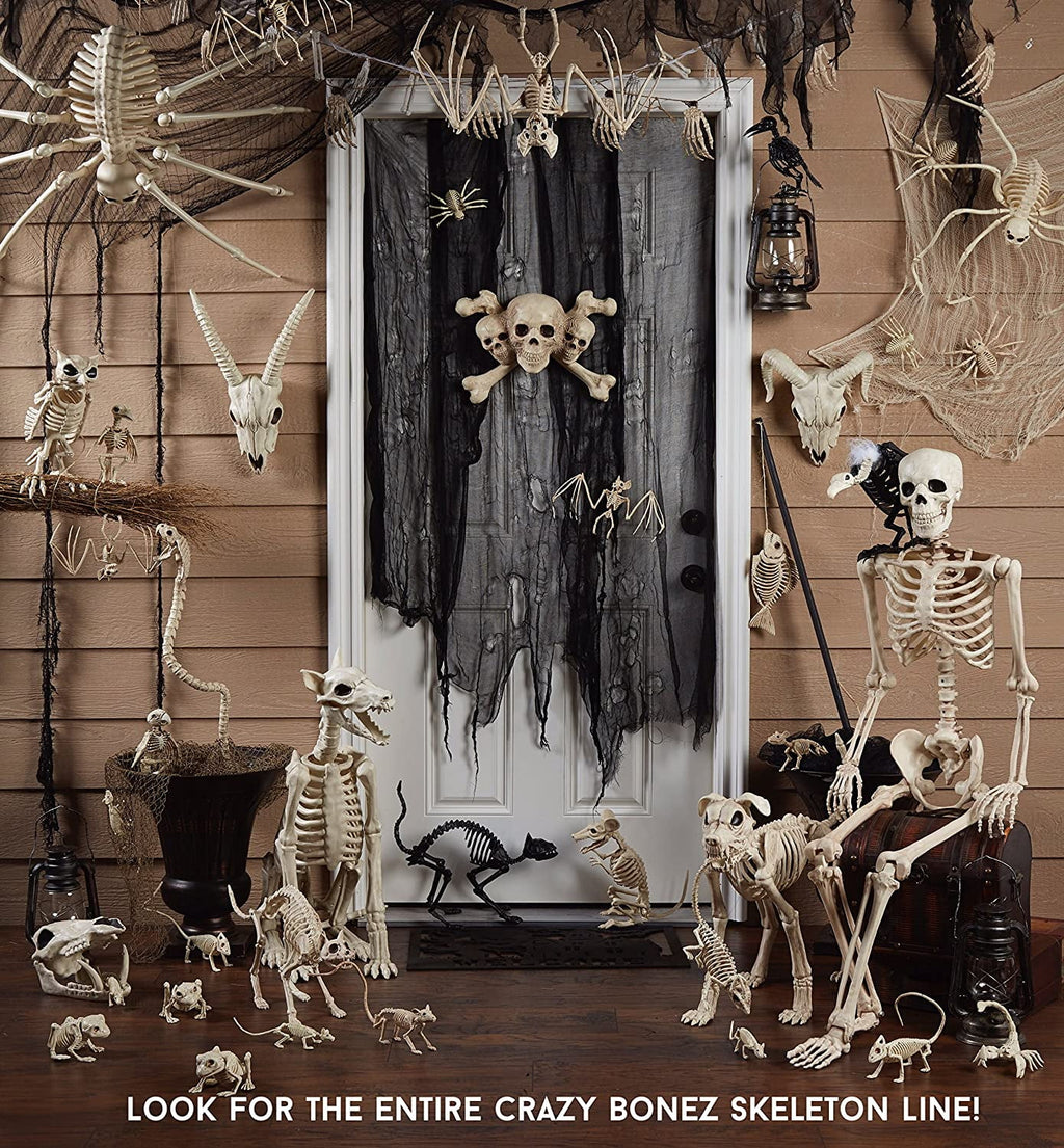 Seasons Prelit Animated Wiener Dog Skeleton Halloween Decor