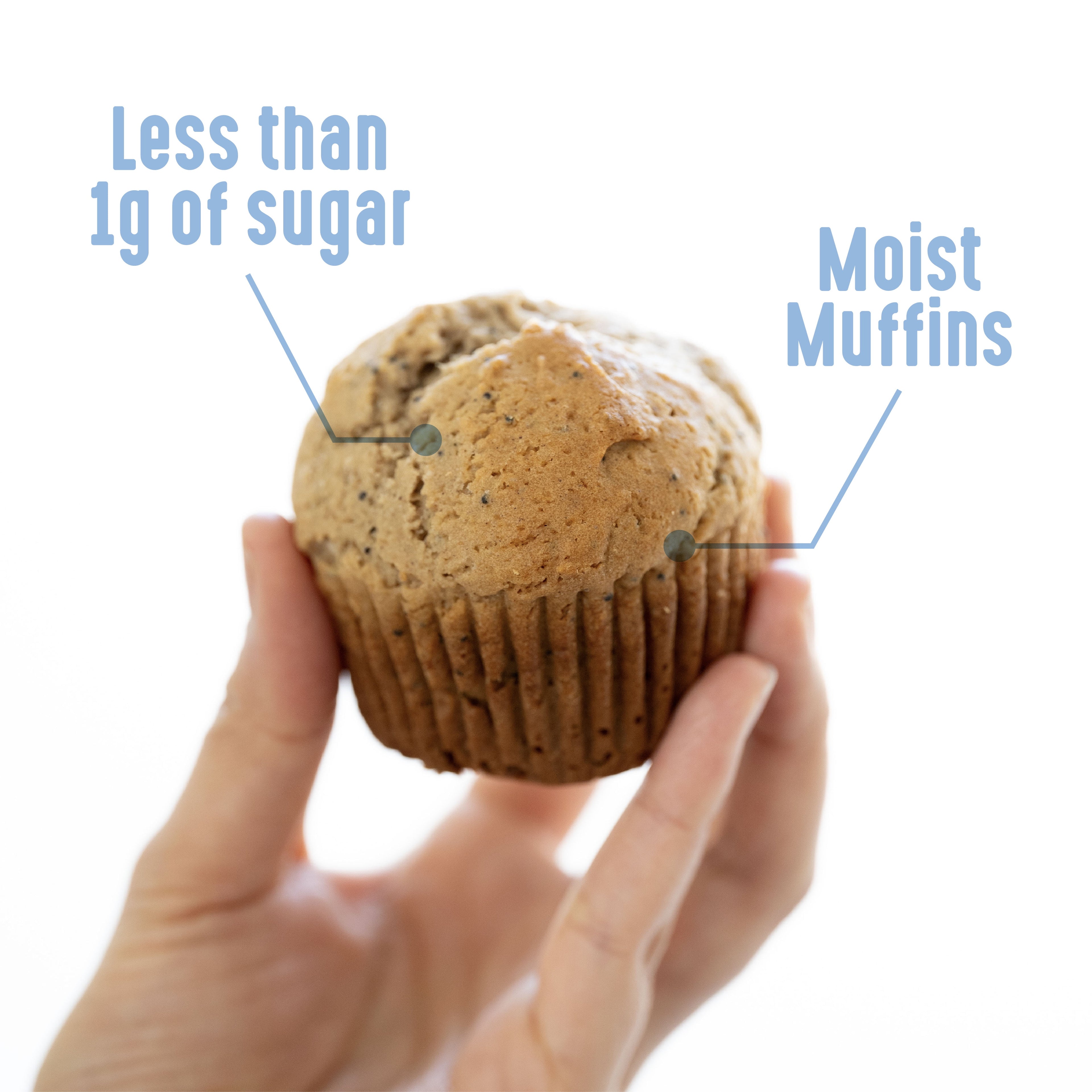 Lakanto Pumpkin Spice Muffin Mix - Sweetened with Monk Fruit and Allulose, Erythritol -8 Oz