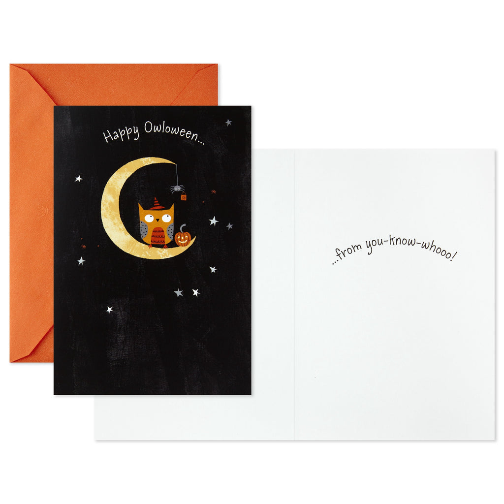 Hallmark Assorted Halloween Cards (Nostalgic Critters), 8 Count