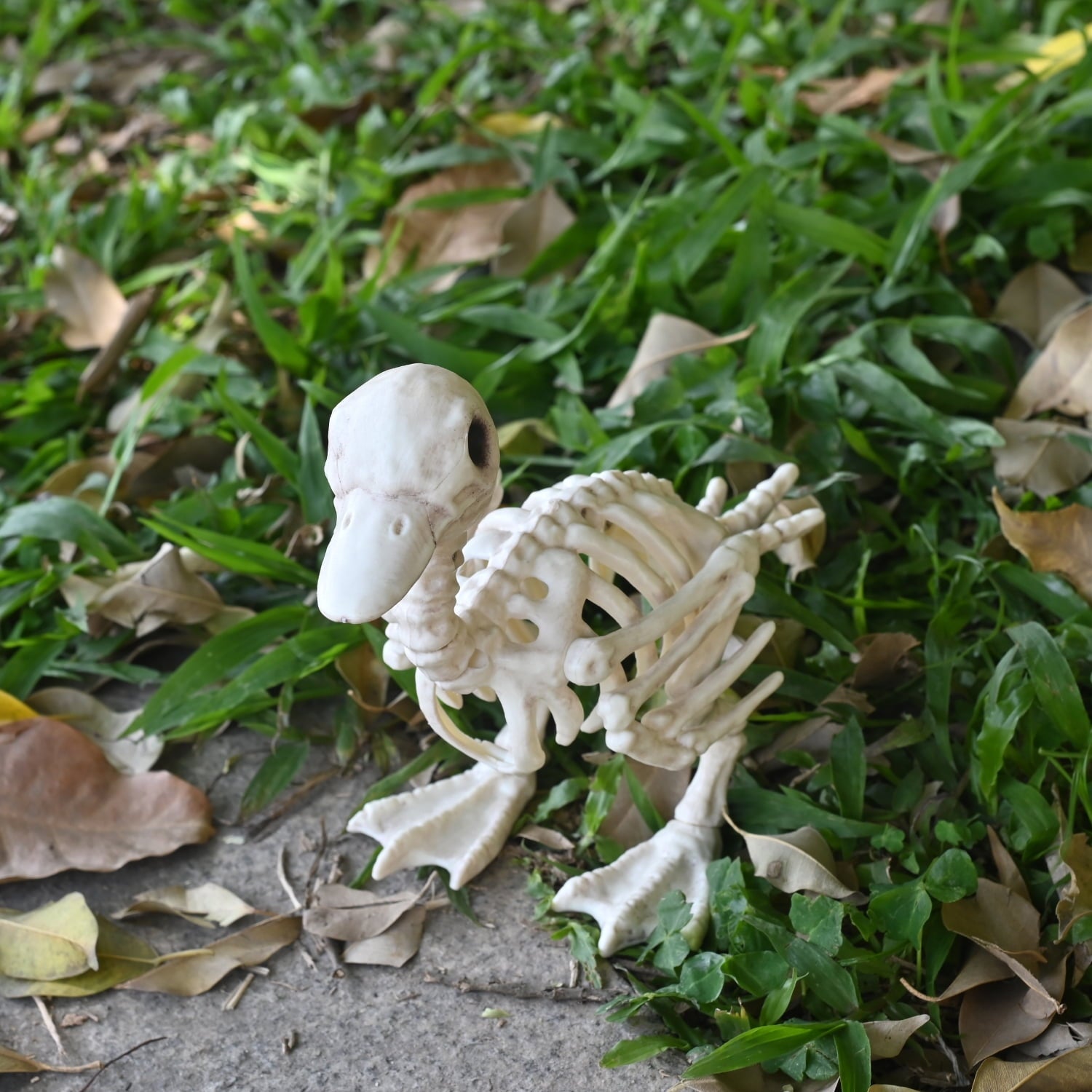 Seasons Skeleton Baby Duck Halloween Decoration for Crazy Bonez Skeleton Line