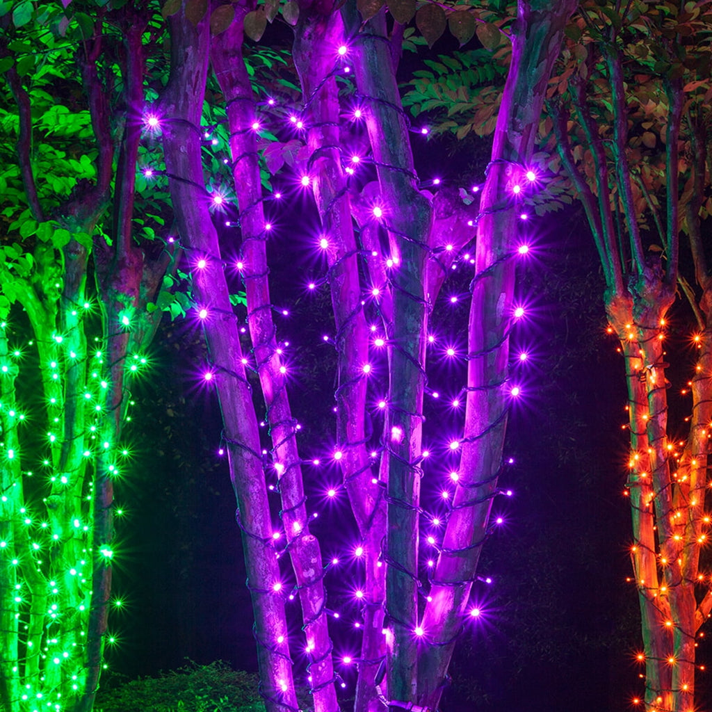 70 LED Purple and Orange String Lights for Halloween Displays Party Decoration, 24', Indoor Outdoor Black Wire