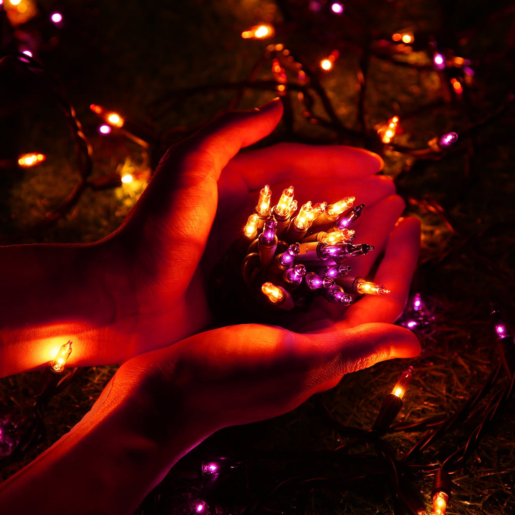 Toodour Orange & Purple Halloween Lights, 25ft 100 Count Incandescent Halloween String Lights, UL Certified Connectable Mini Bulbs Halloween Lights for Indoor, Outdoor, Garden, Porch, Halloween Decor