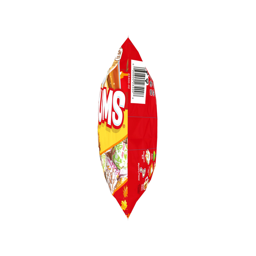 Dum Dums Fall Mix Halloween Assorted Candy, Allergen Free Lollipops & Suckers, Hard Party Candy, 9oz Bag