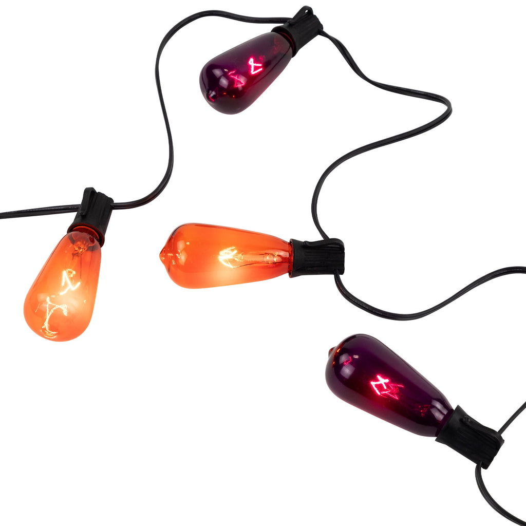 Northlight Edison Style Halloween Lights - Purple - 9' Black Wire - 10ct