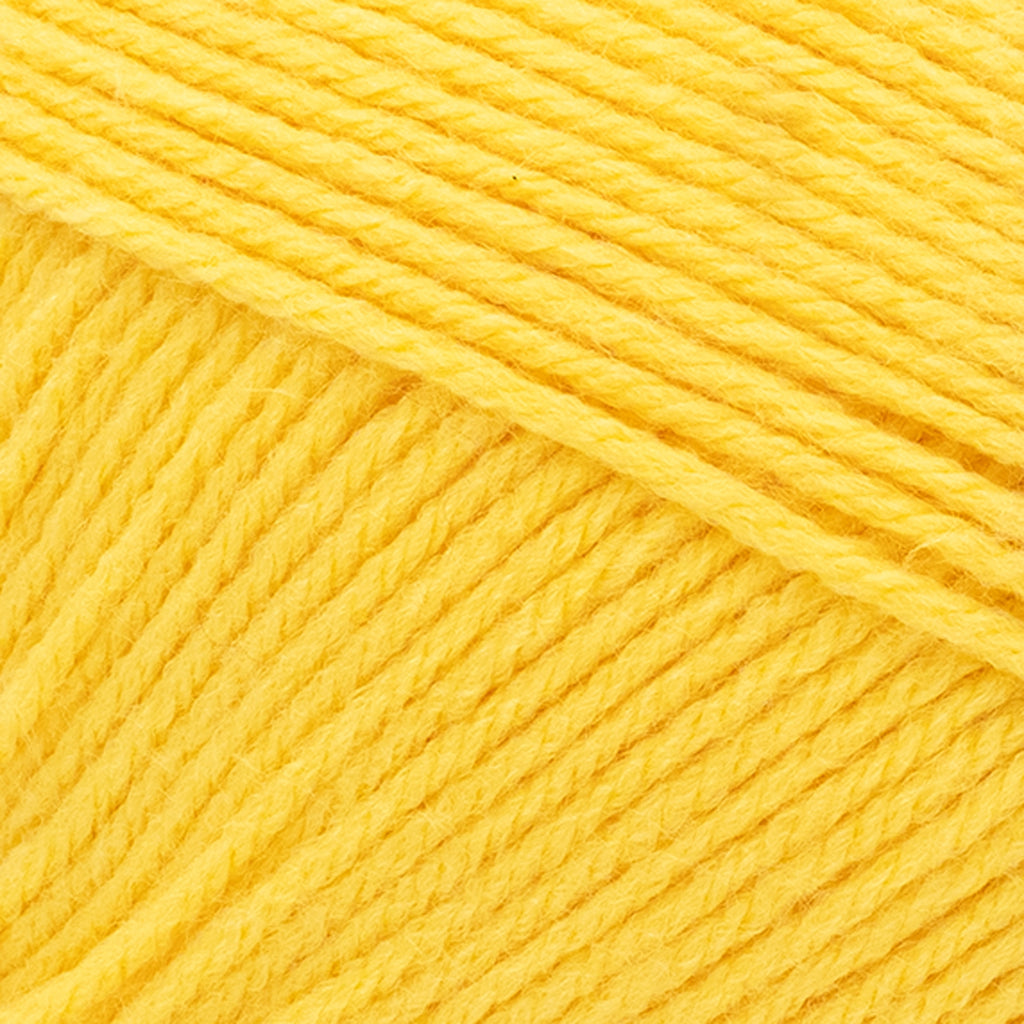 Lion Brand Yarn Pound of Love Pastel Green 4 Medium Worsted Yarn Green 16 oz 1020 yards