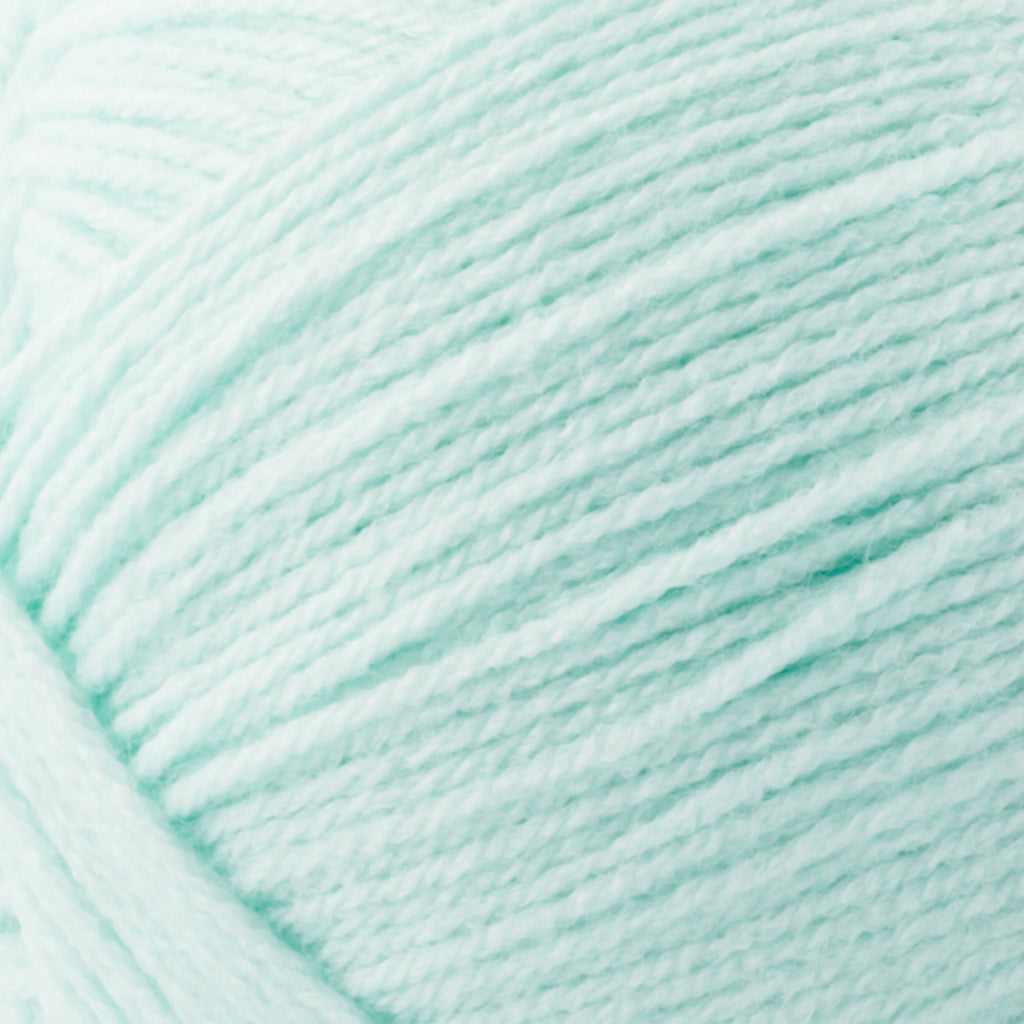 Lion Brand Yarn Pound of Love Pastel Green 4 Medium Worsted Yarn Green 16 oz 1020 yards
