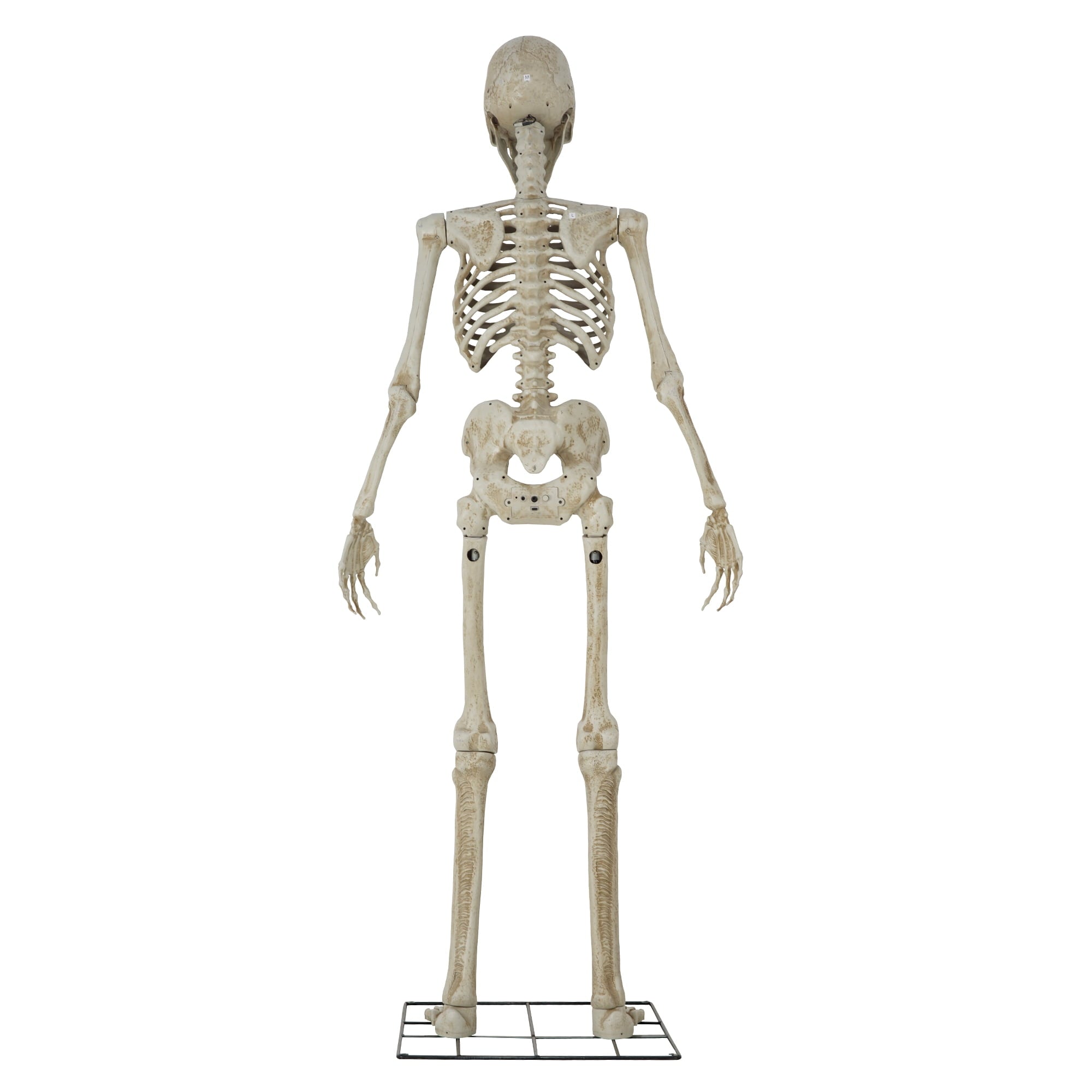 Way To Celebrate 8-Foot Animated Skeleton Plastic Outdoor Halloween Decor