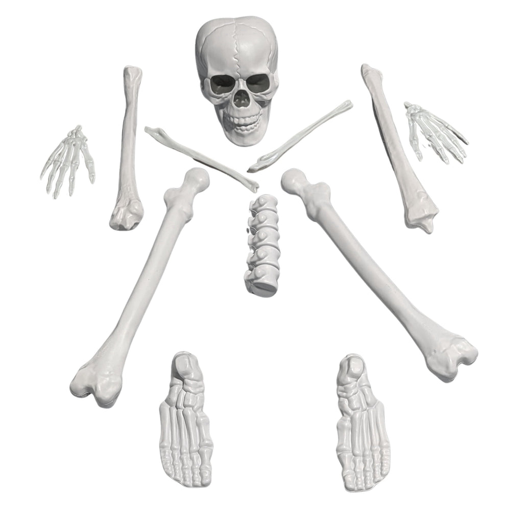 Faux Bag of Bones, 12 Pieces, Halloween by Way To Celebrate
