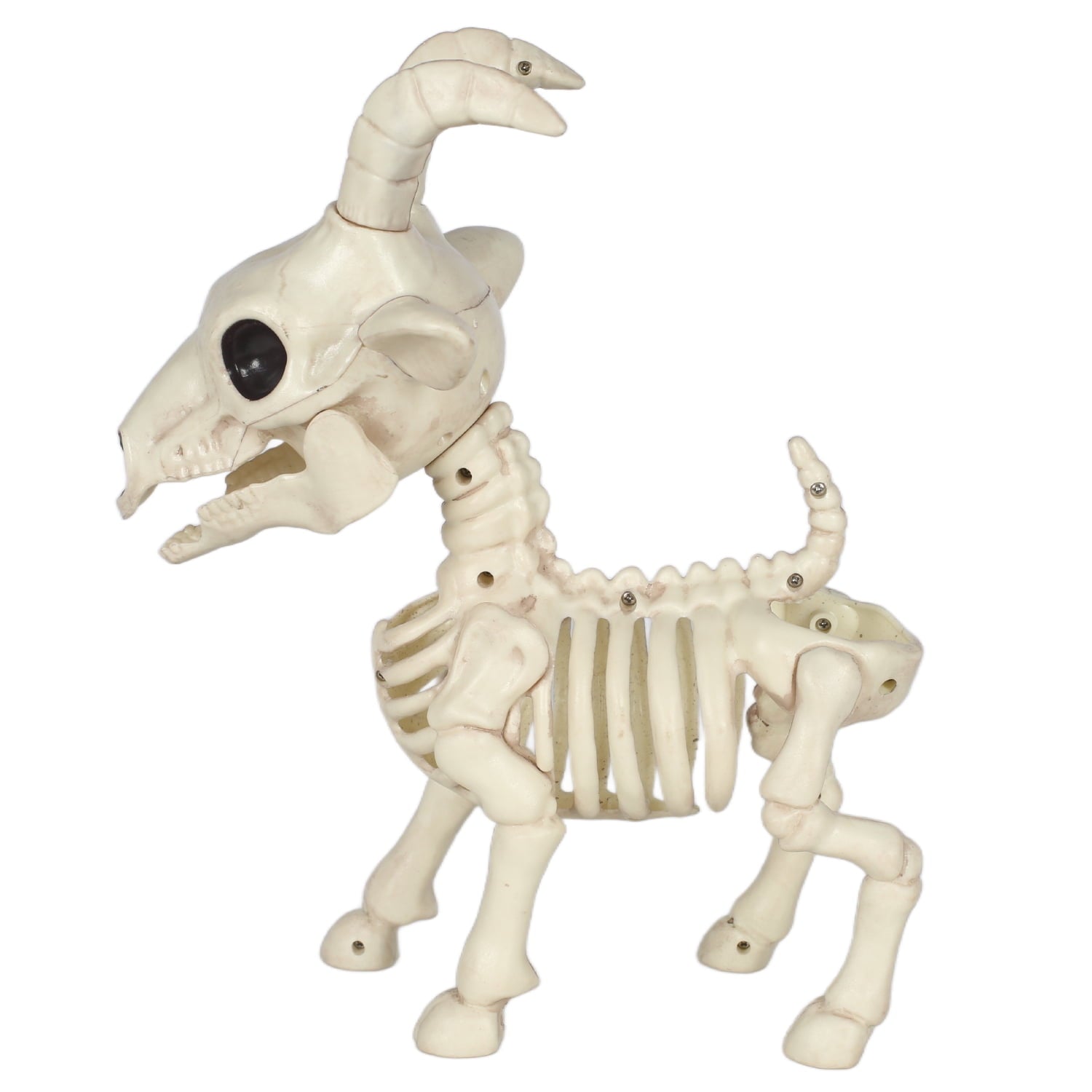Seasons Skeleton Pygmy Goat Halloween Decoration for Crazy Bonez Skeleton Line
