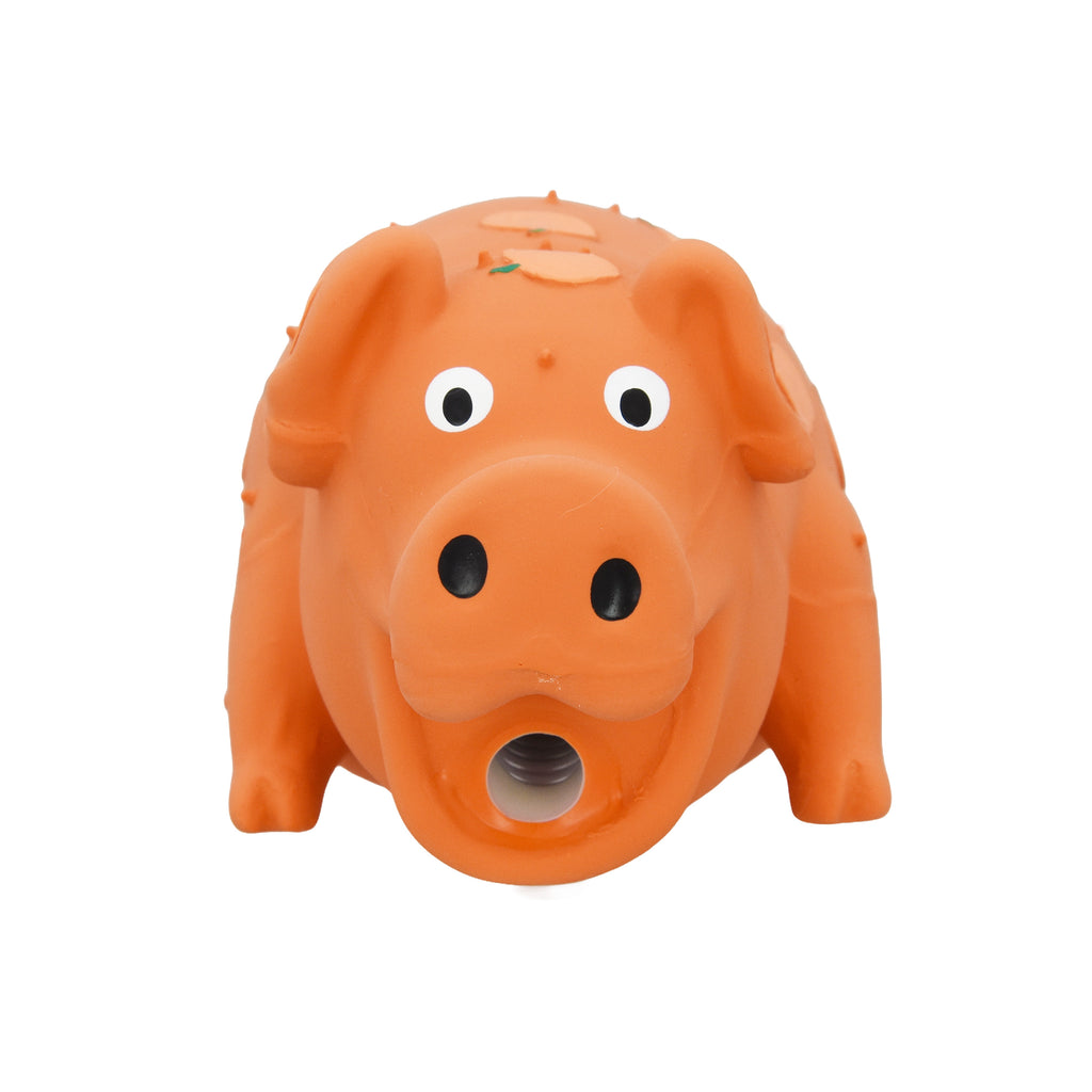 Vibrant Life Halloween Pigglesworth with Skulls Dog Toy